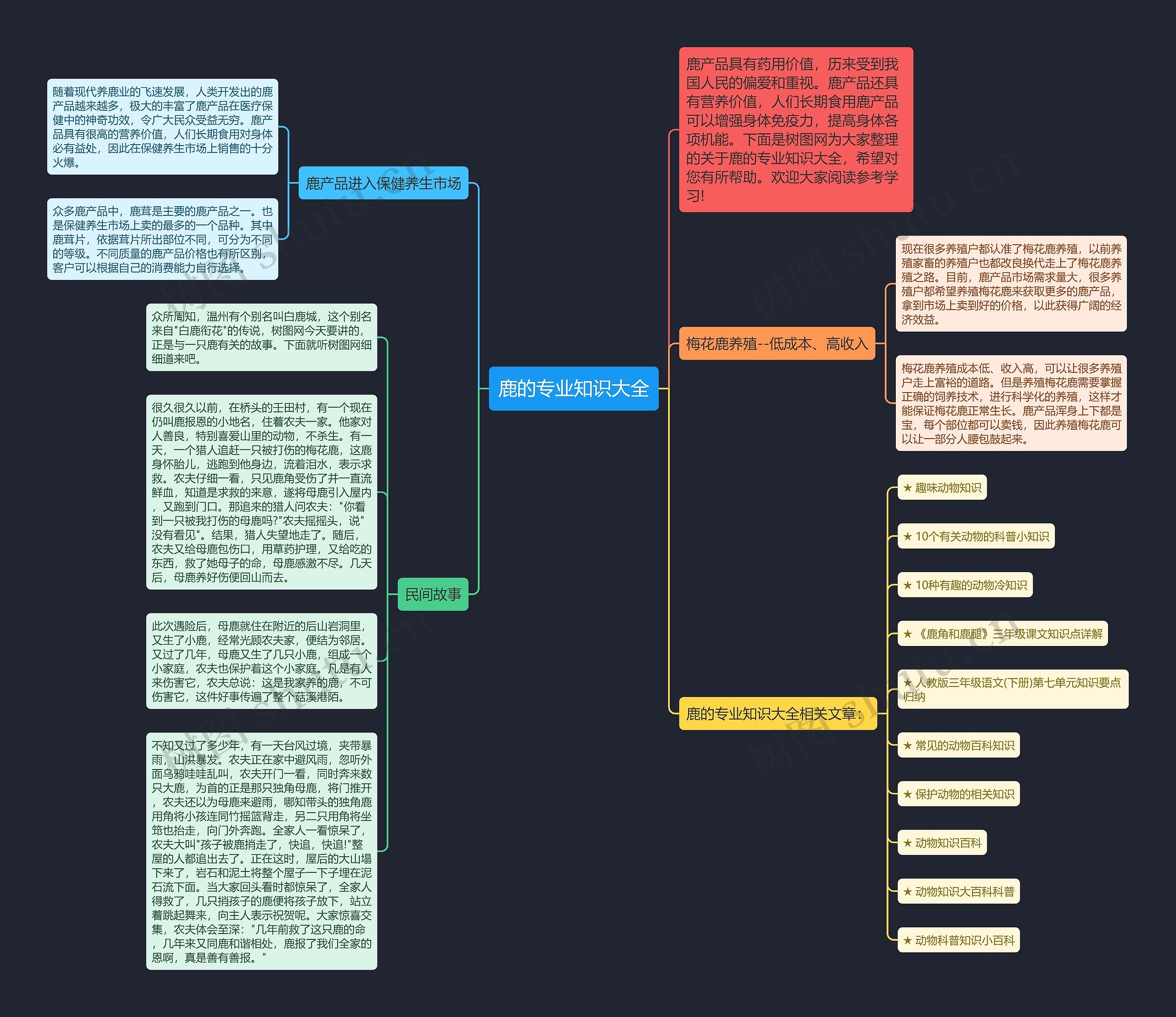 鹿的专业知识大全思维导图