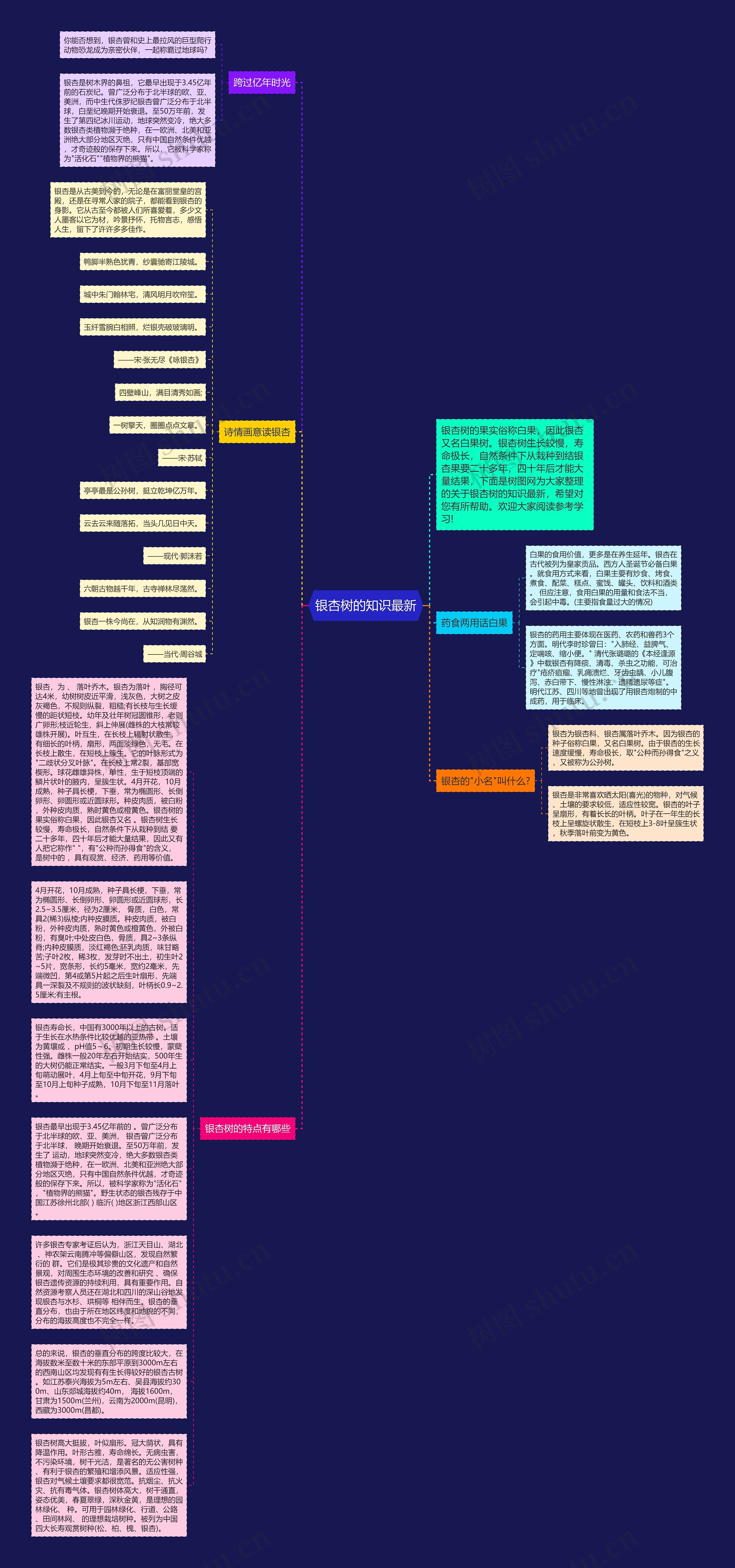 银杏树的知识最新思维导图