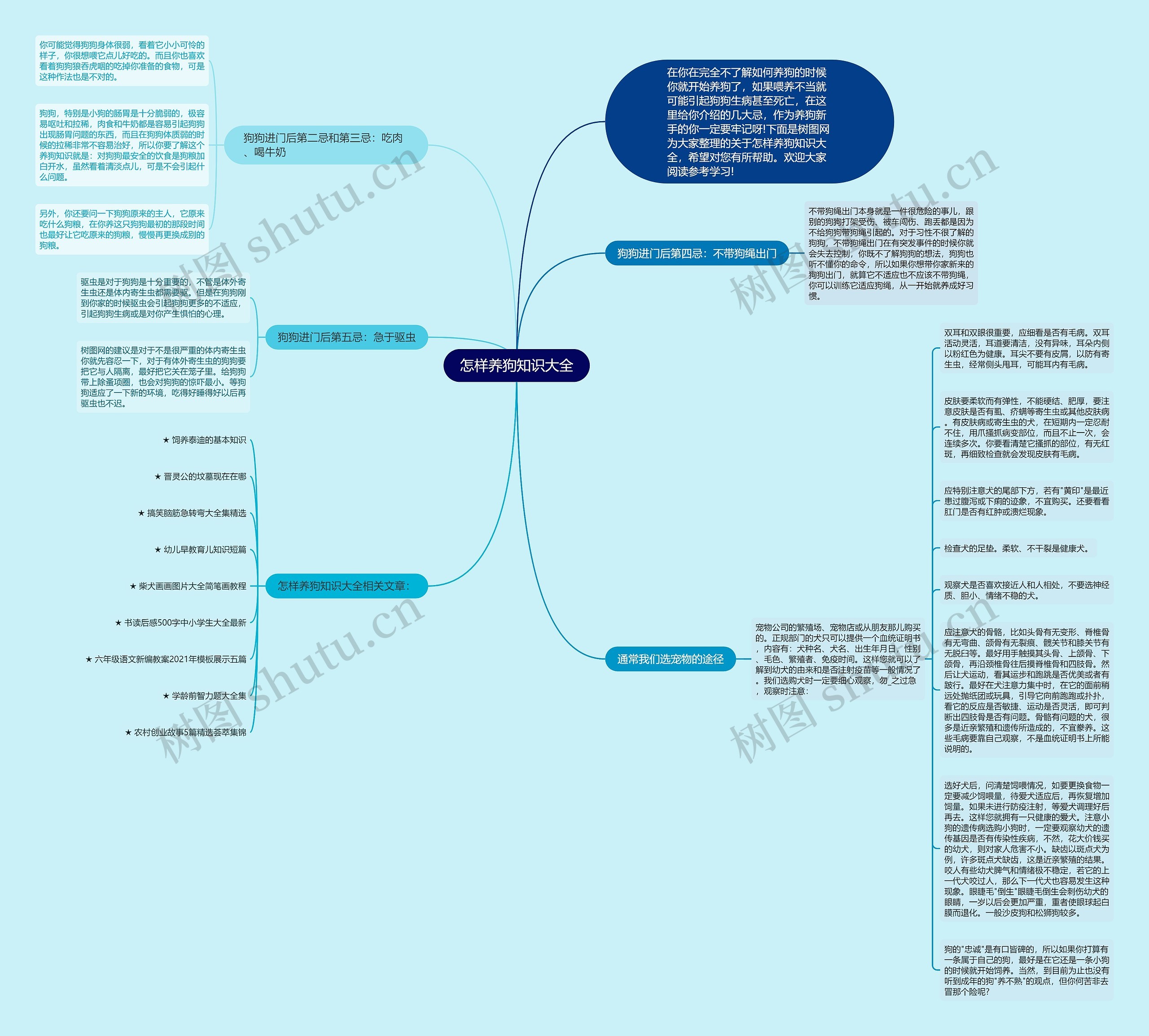 怎样养狗知识大全思维导图