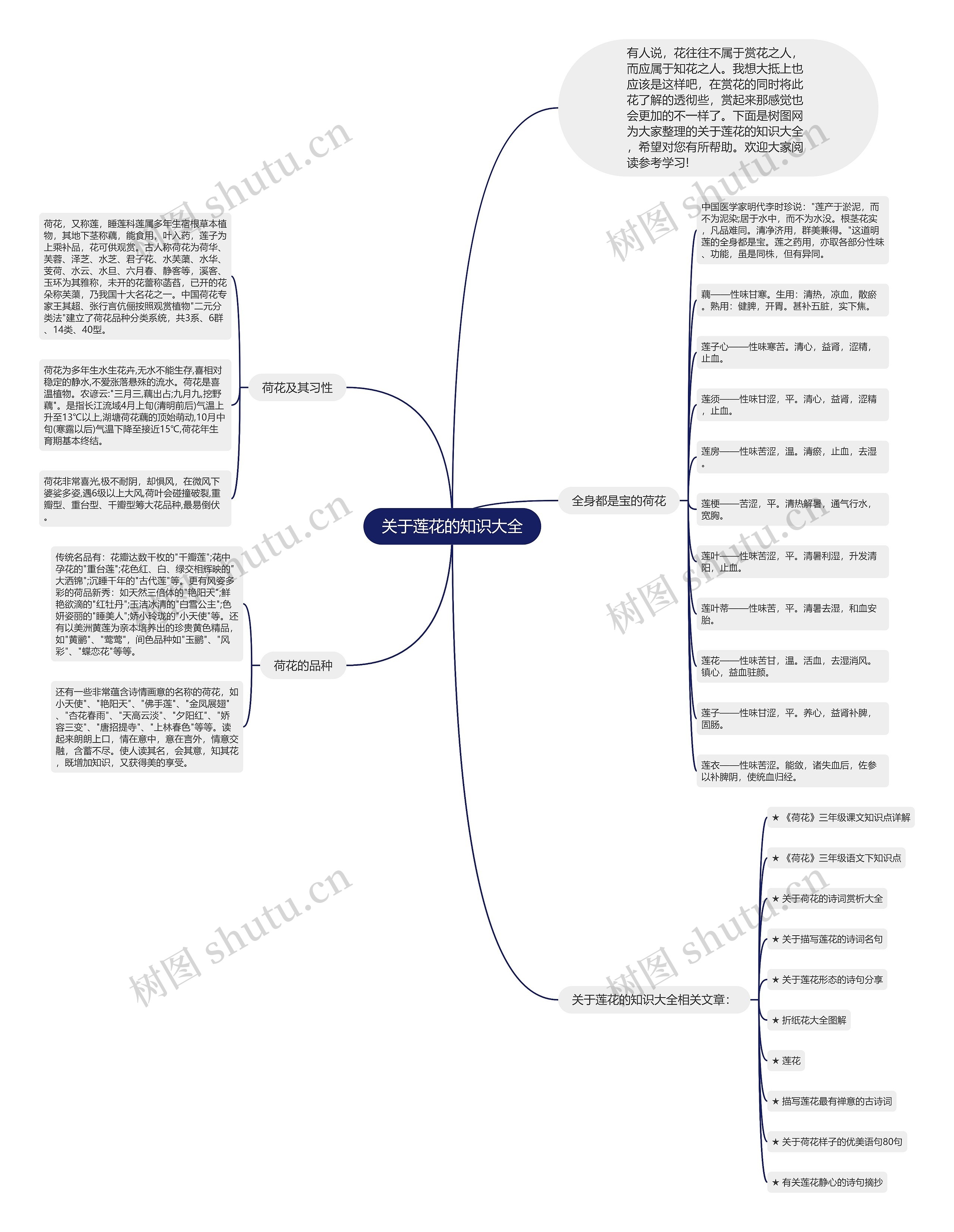 关于莲花的知识大全思维导图