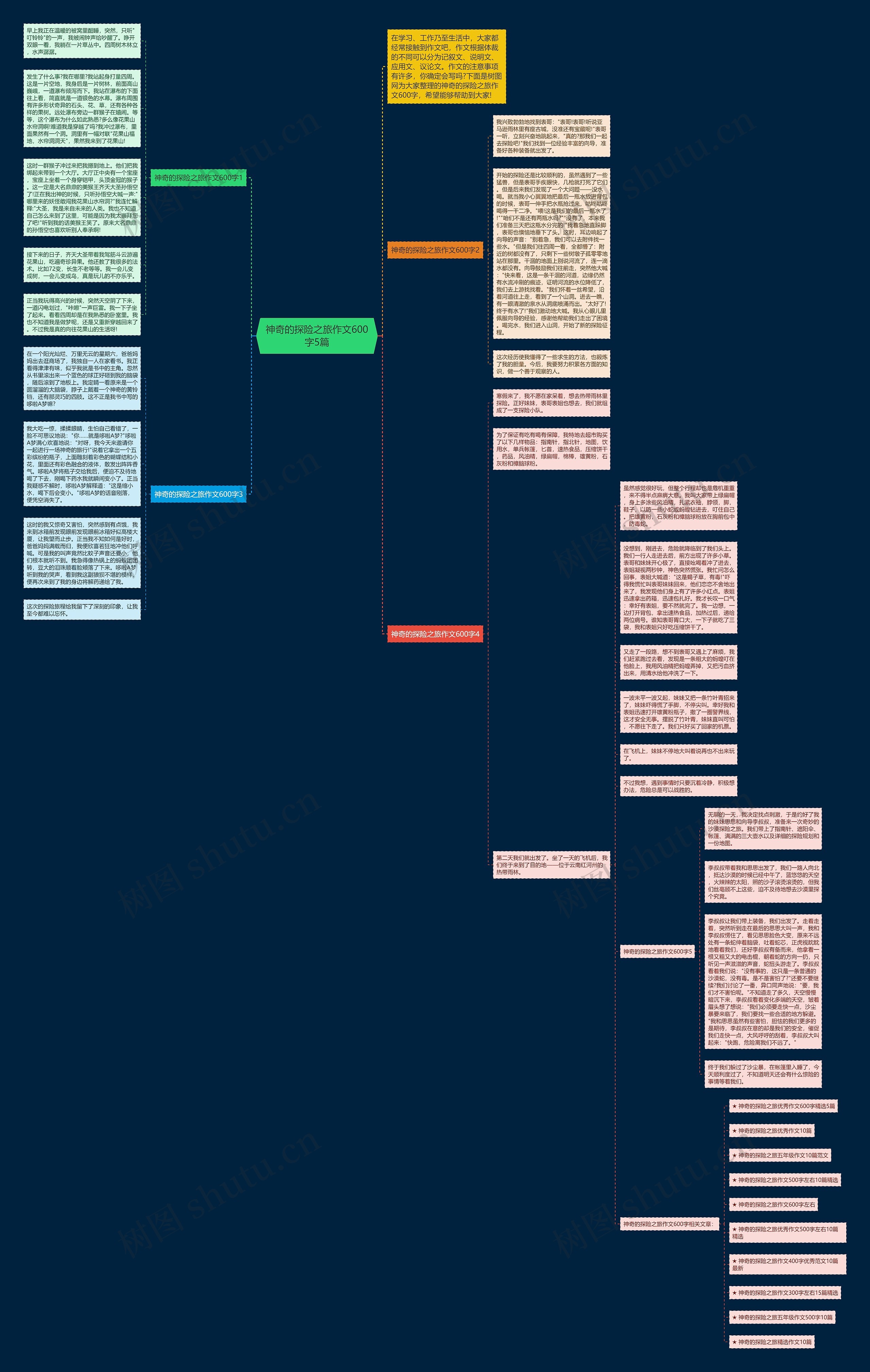 神奇的探险之旅作文600字5篇思维导图