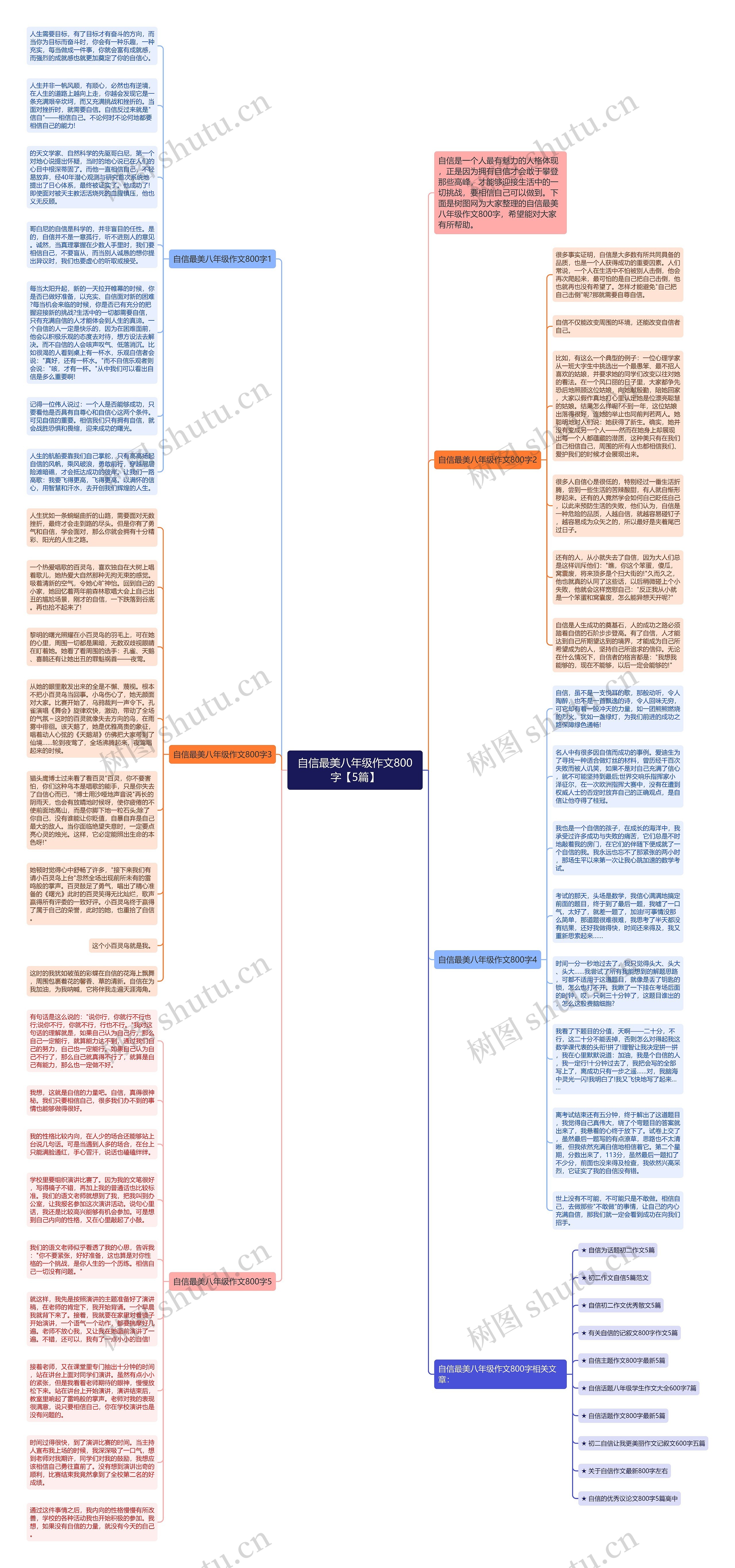 自信最美八年级作文800字【5篇】思维导图