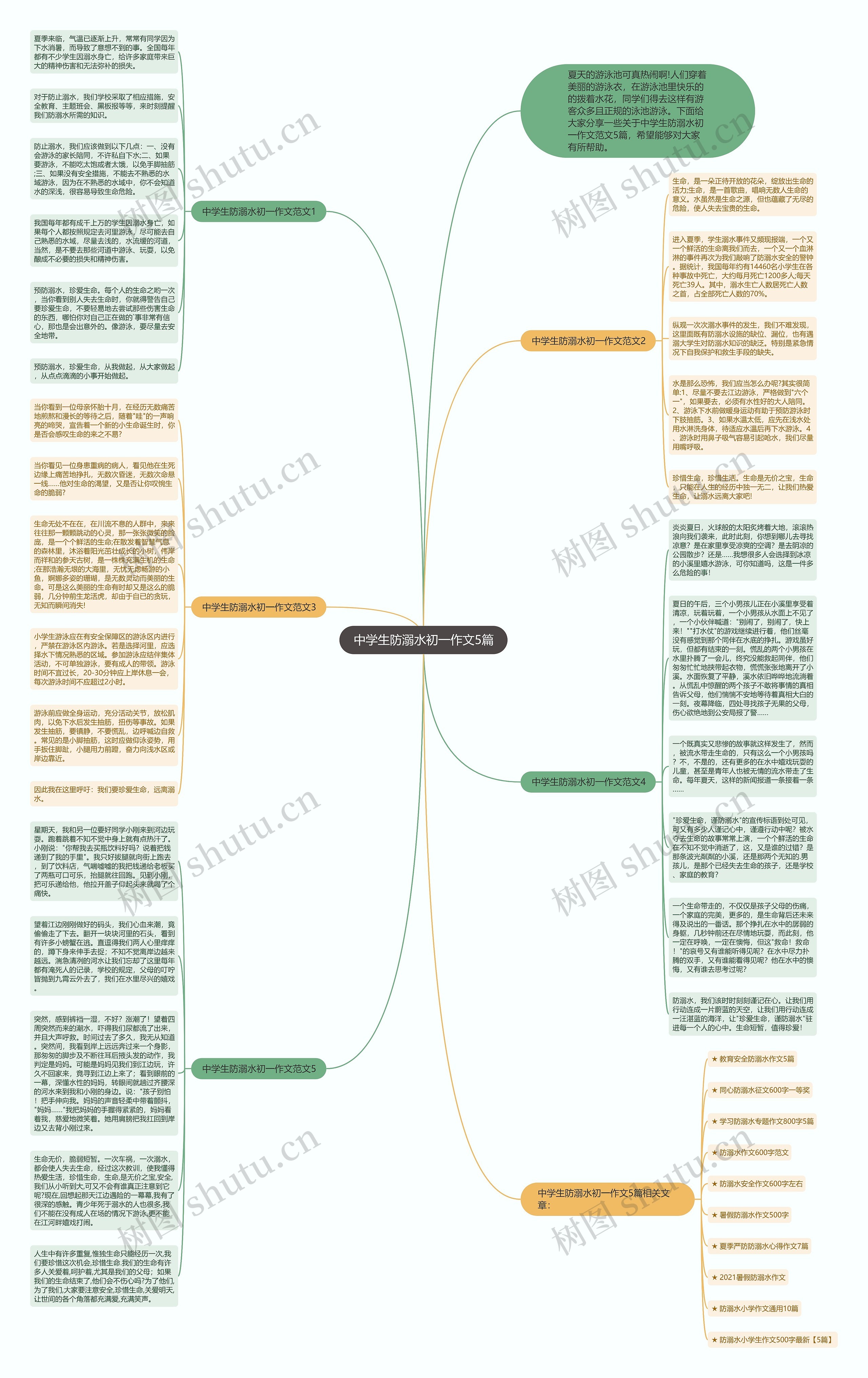 中学生防溺水初一作文5篇思维导图