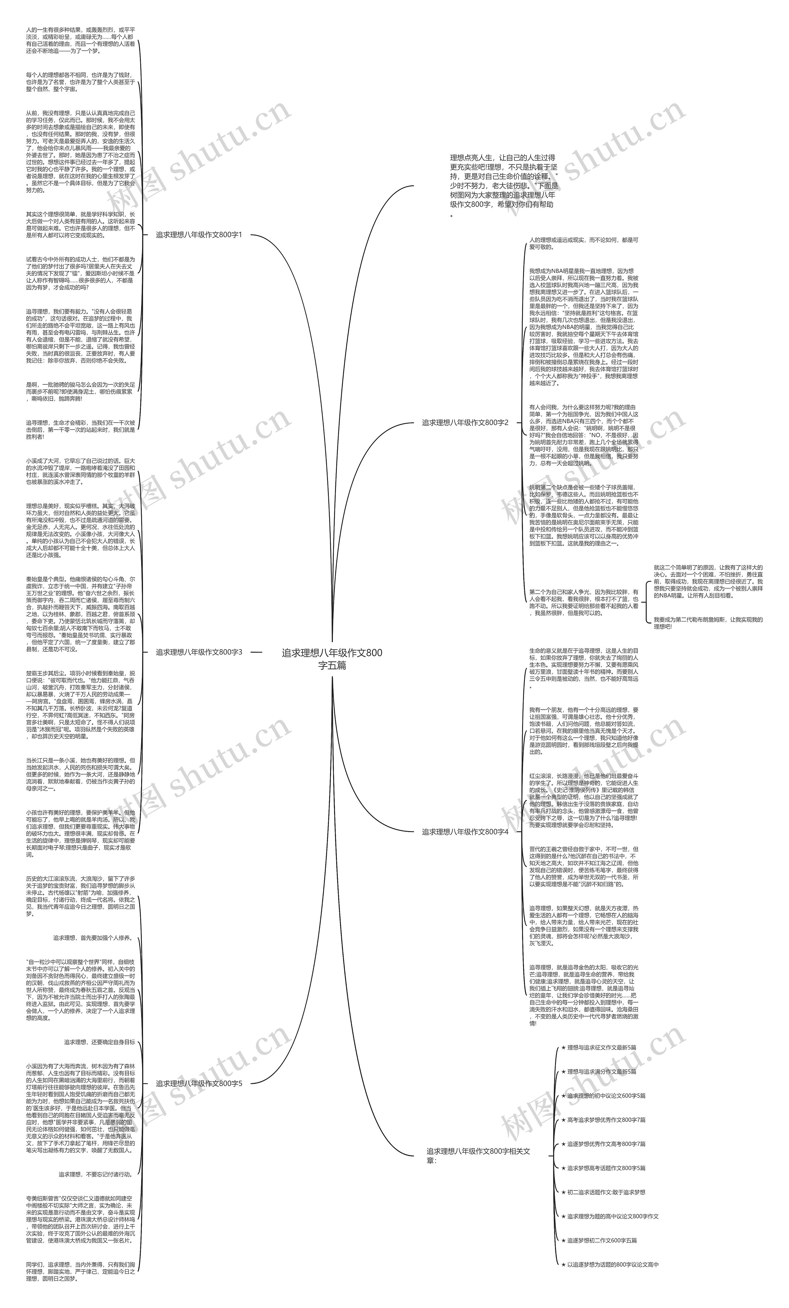 追求理想八年级作文800字五篇思维导图