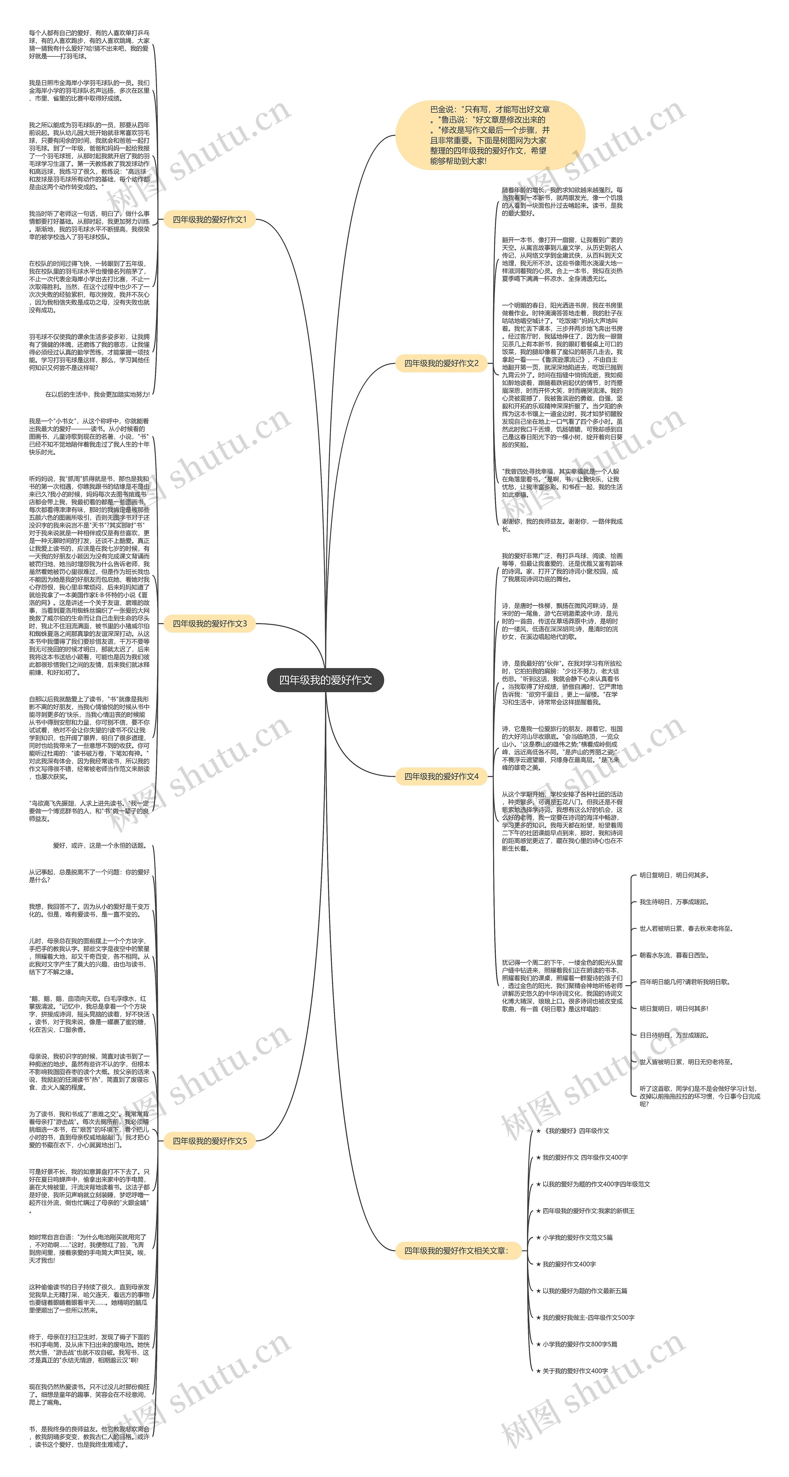 四年级我的爱好作文思维导图