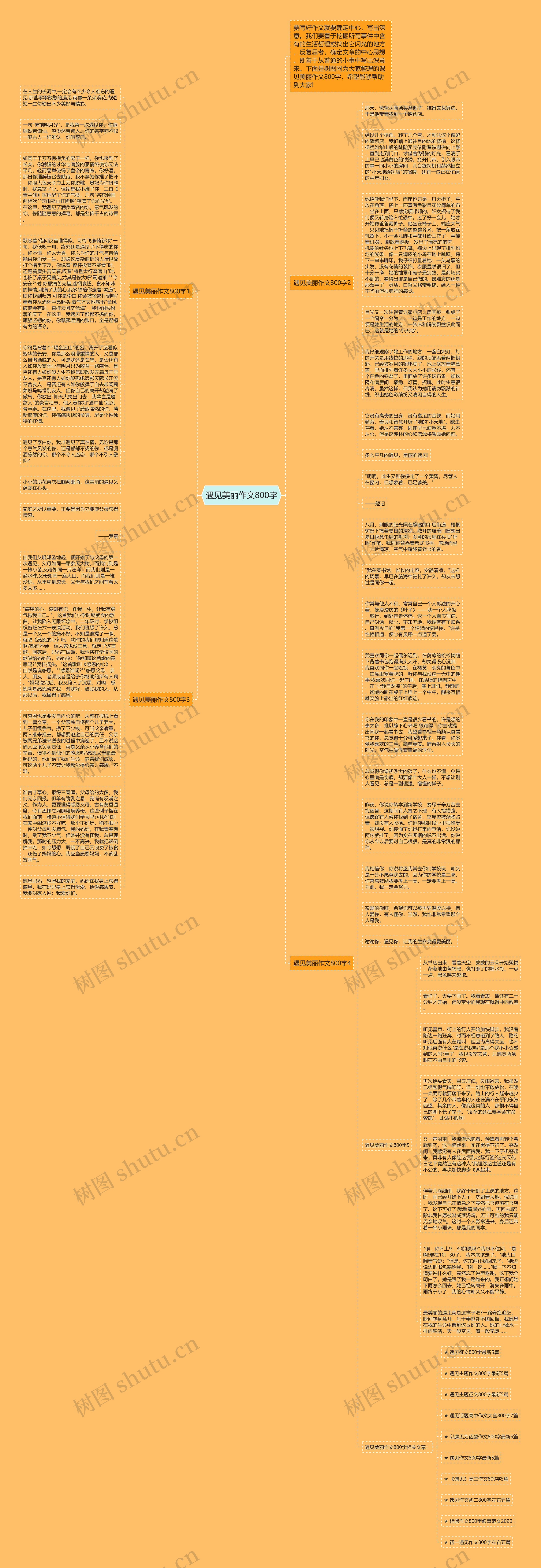 遇见美丽作文800字思维导图