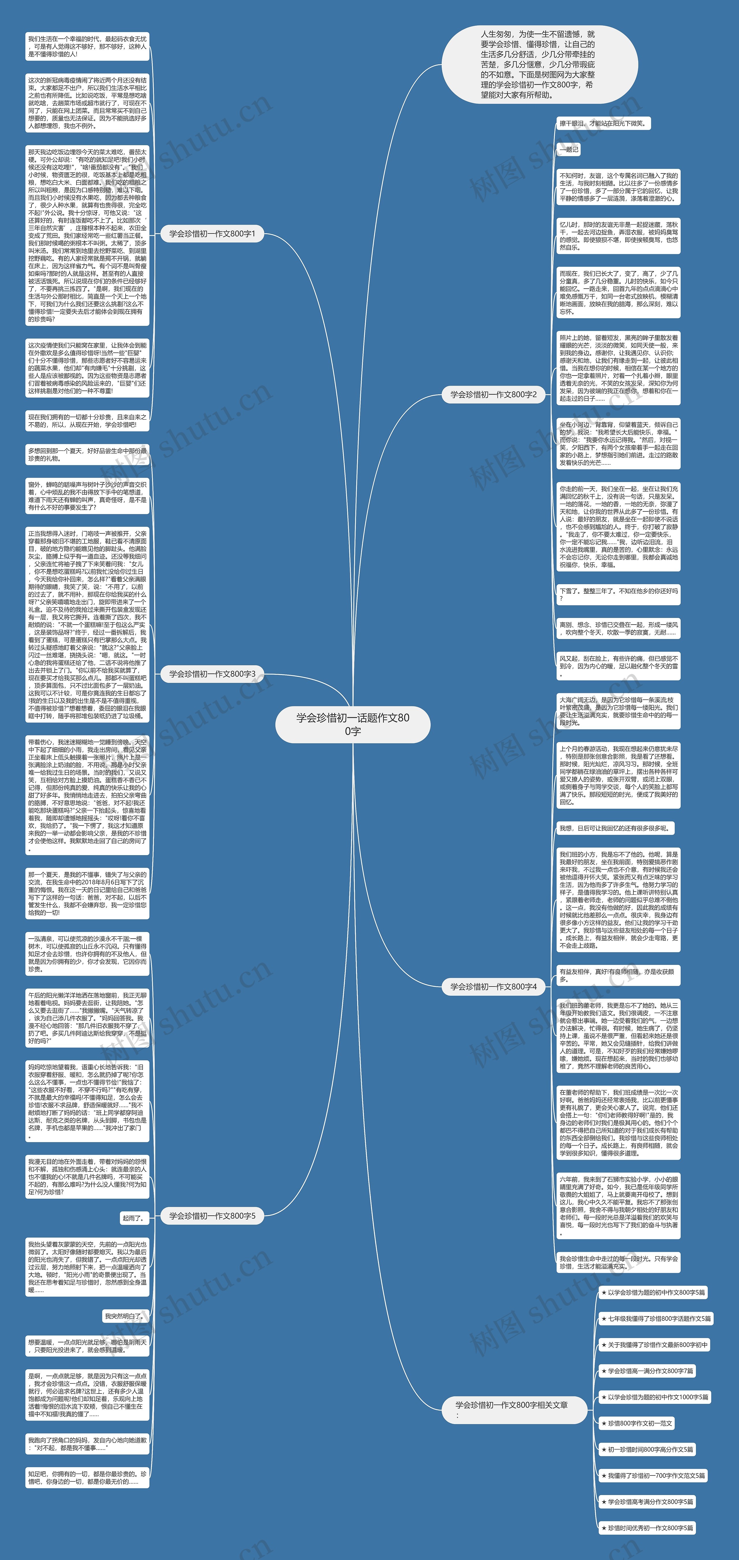 学会珍惜初一话题作文800字思维导图