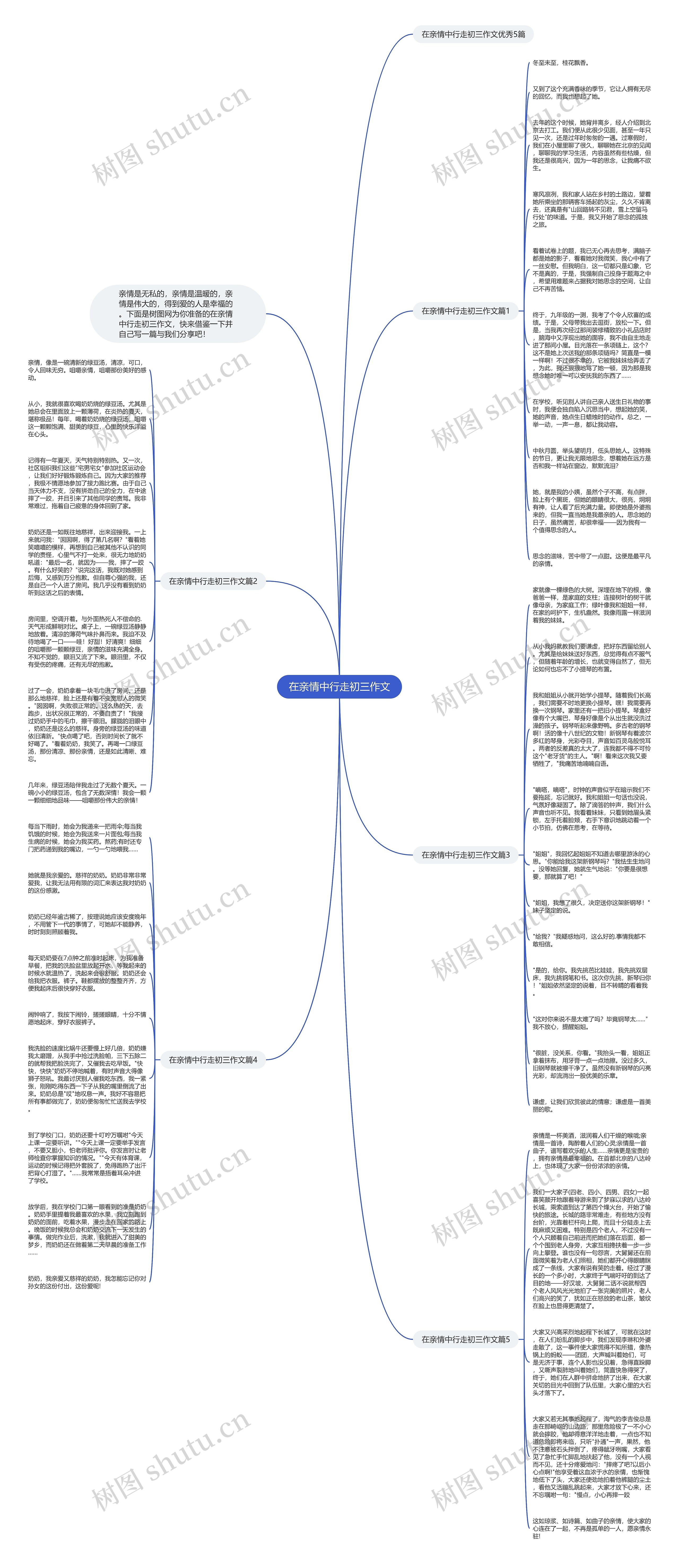 在亲情中行走初三作文思维导图