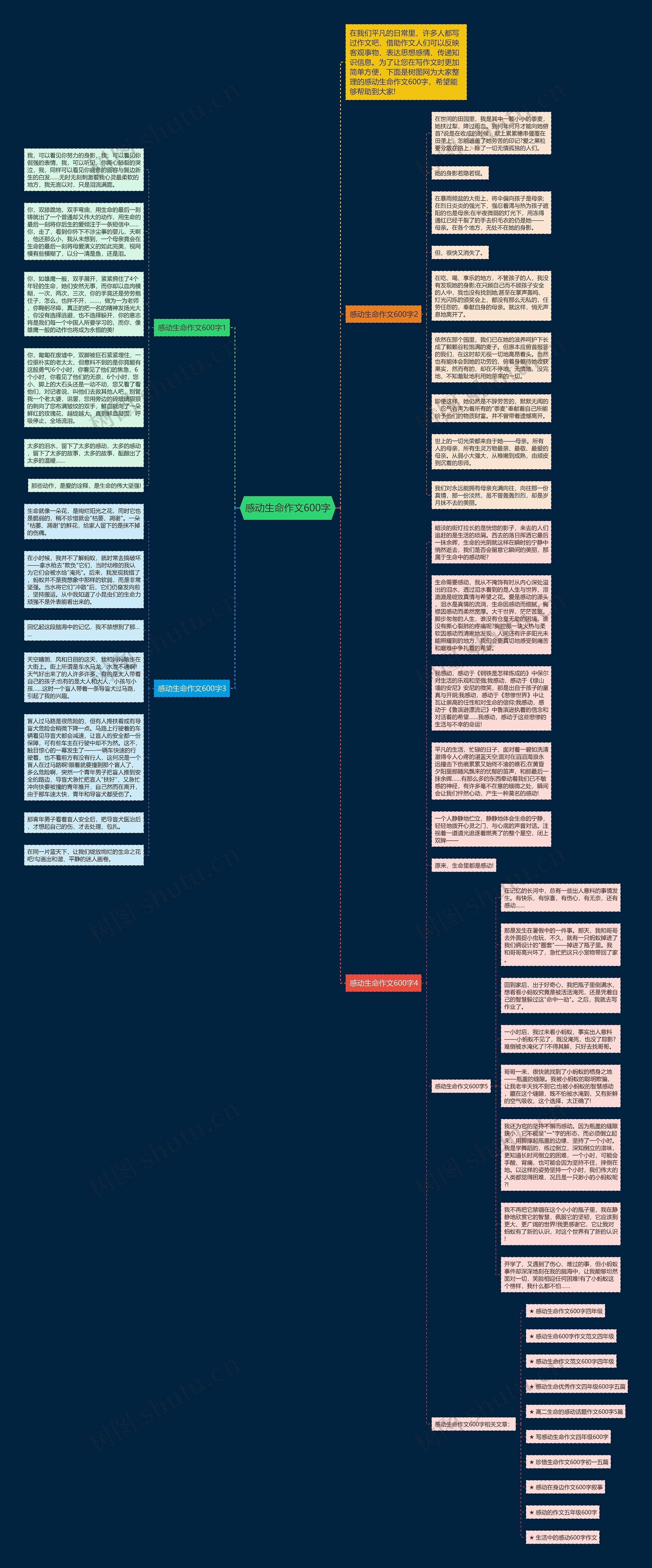 感动生命作文600字思维导图