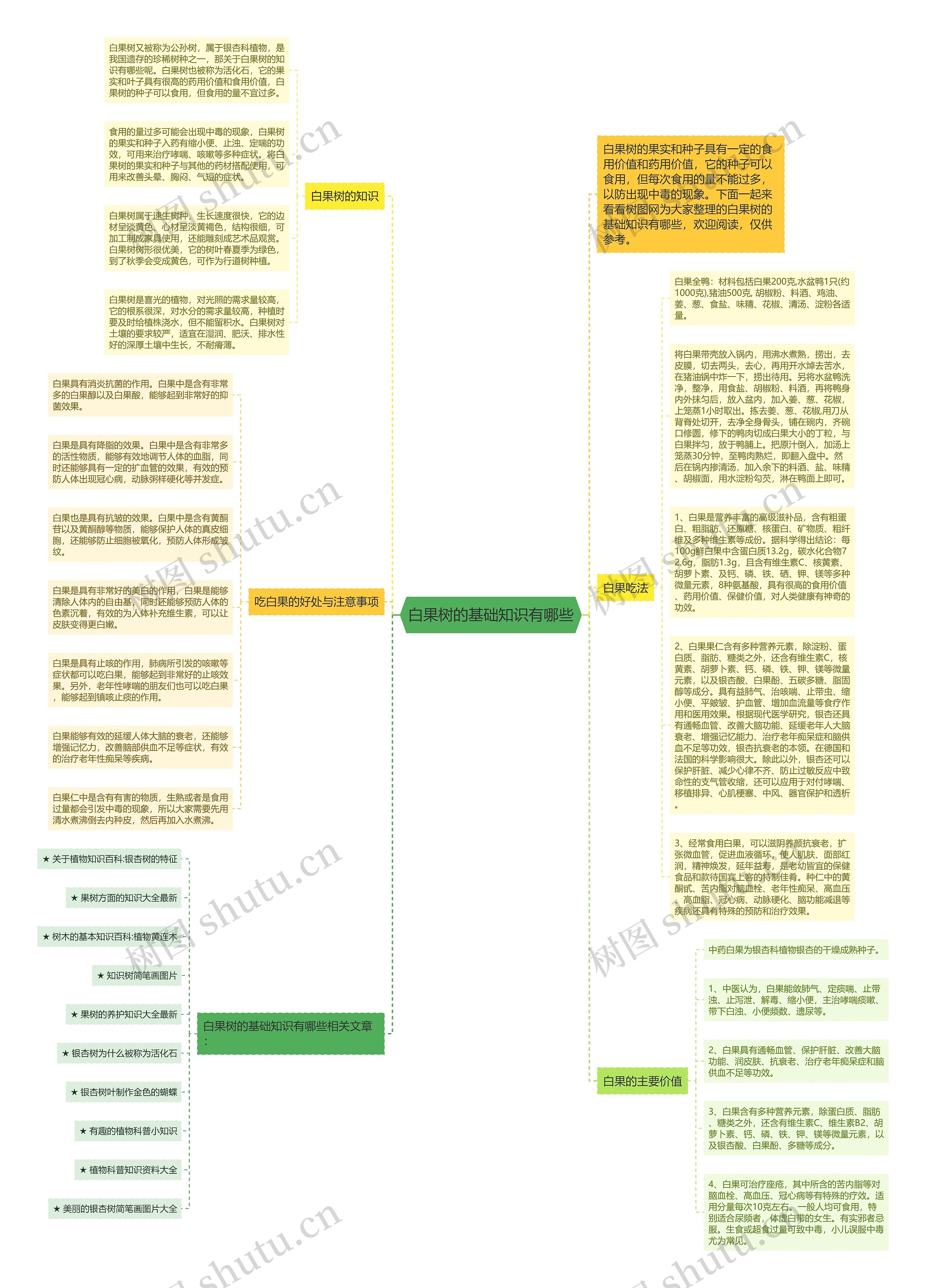 白果树的基础知识有哪些思维导图