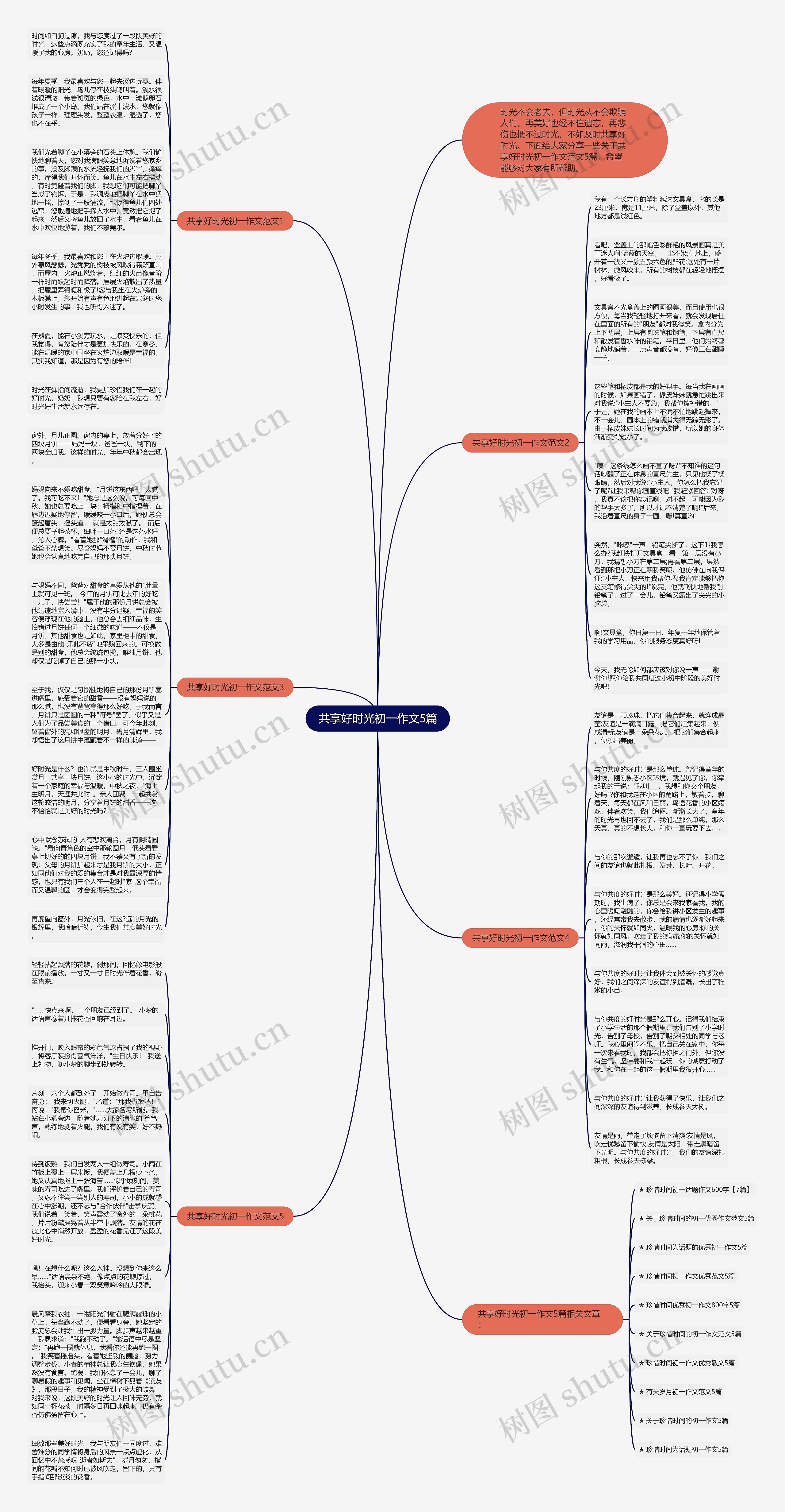 共享好时光初一作文5篇思维导图