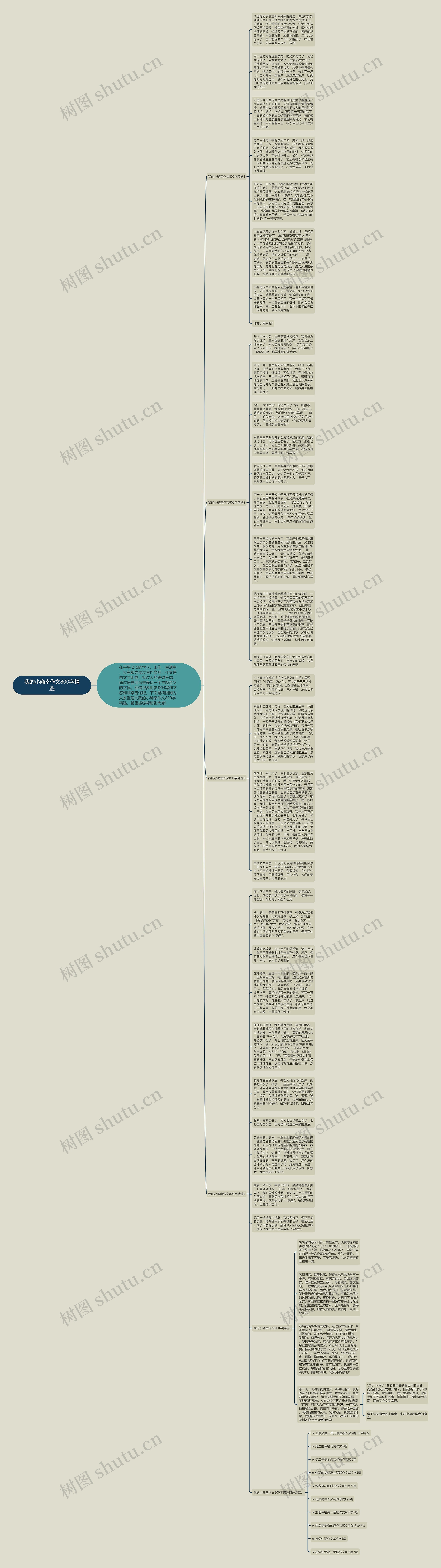 我的小确幸作文800字精选思维导图