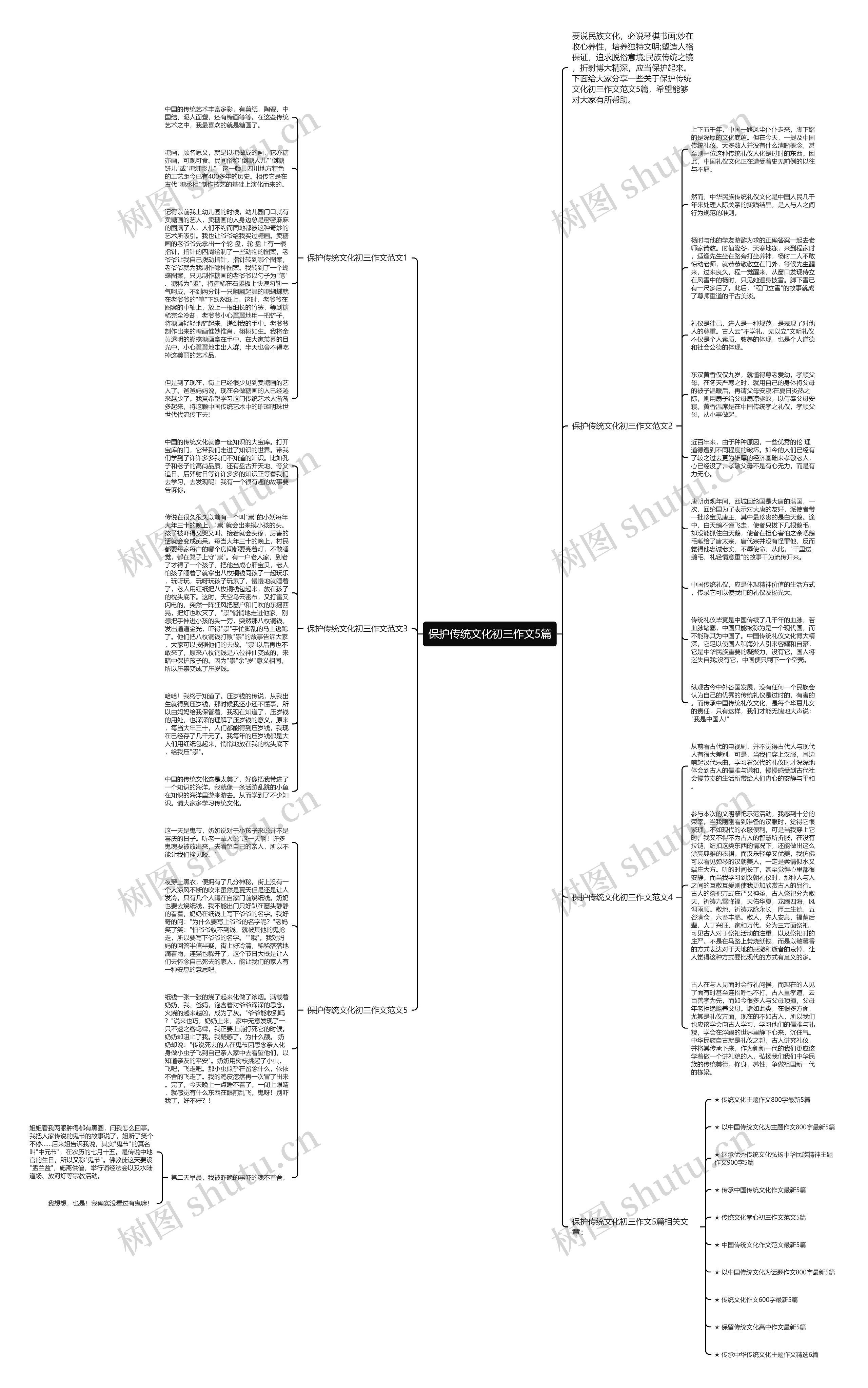 保护传统文化初三作文5篇