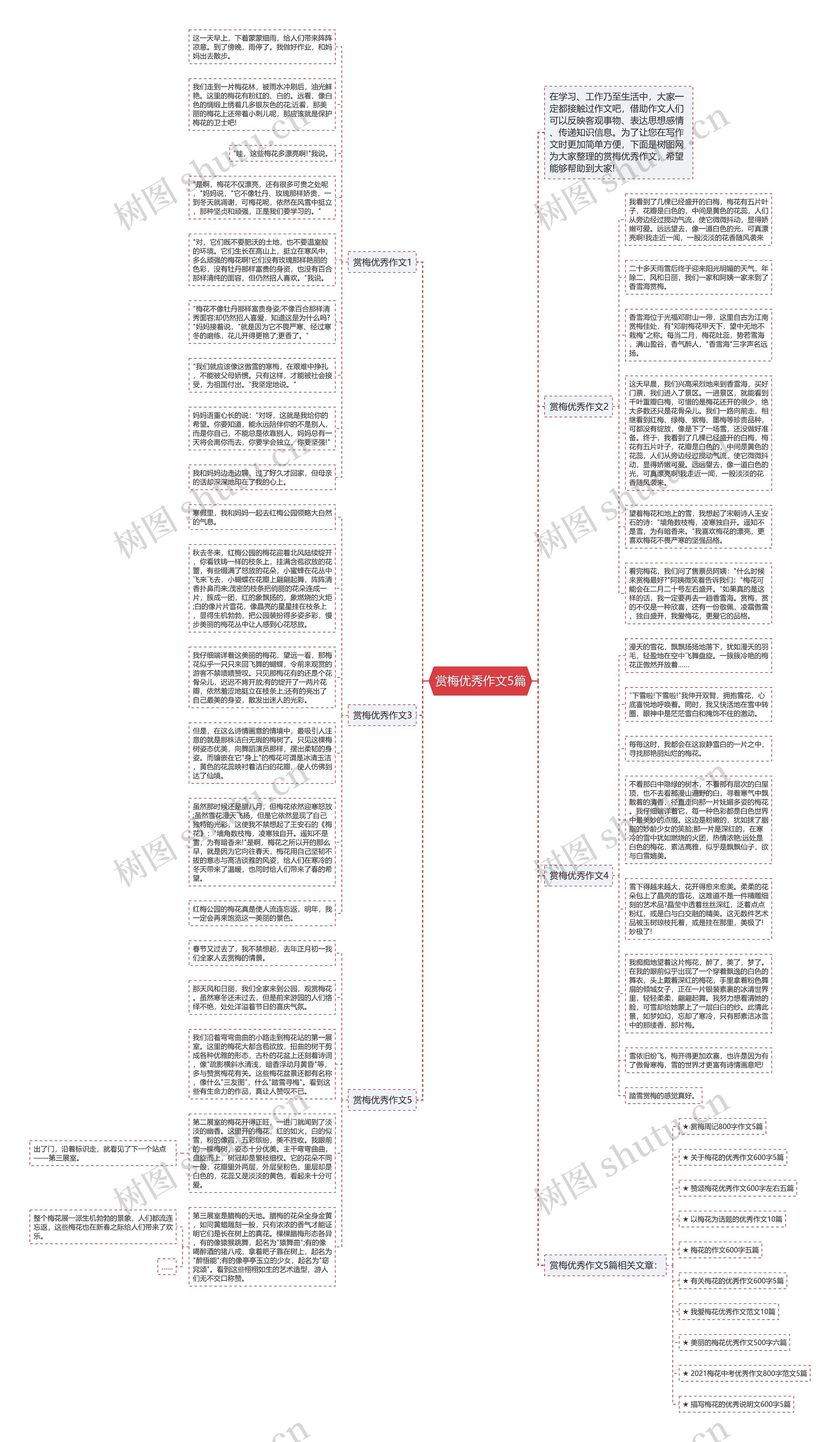 赏梅优秀作文5篇思维导图