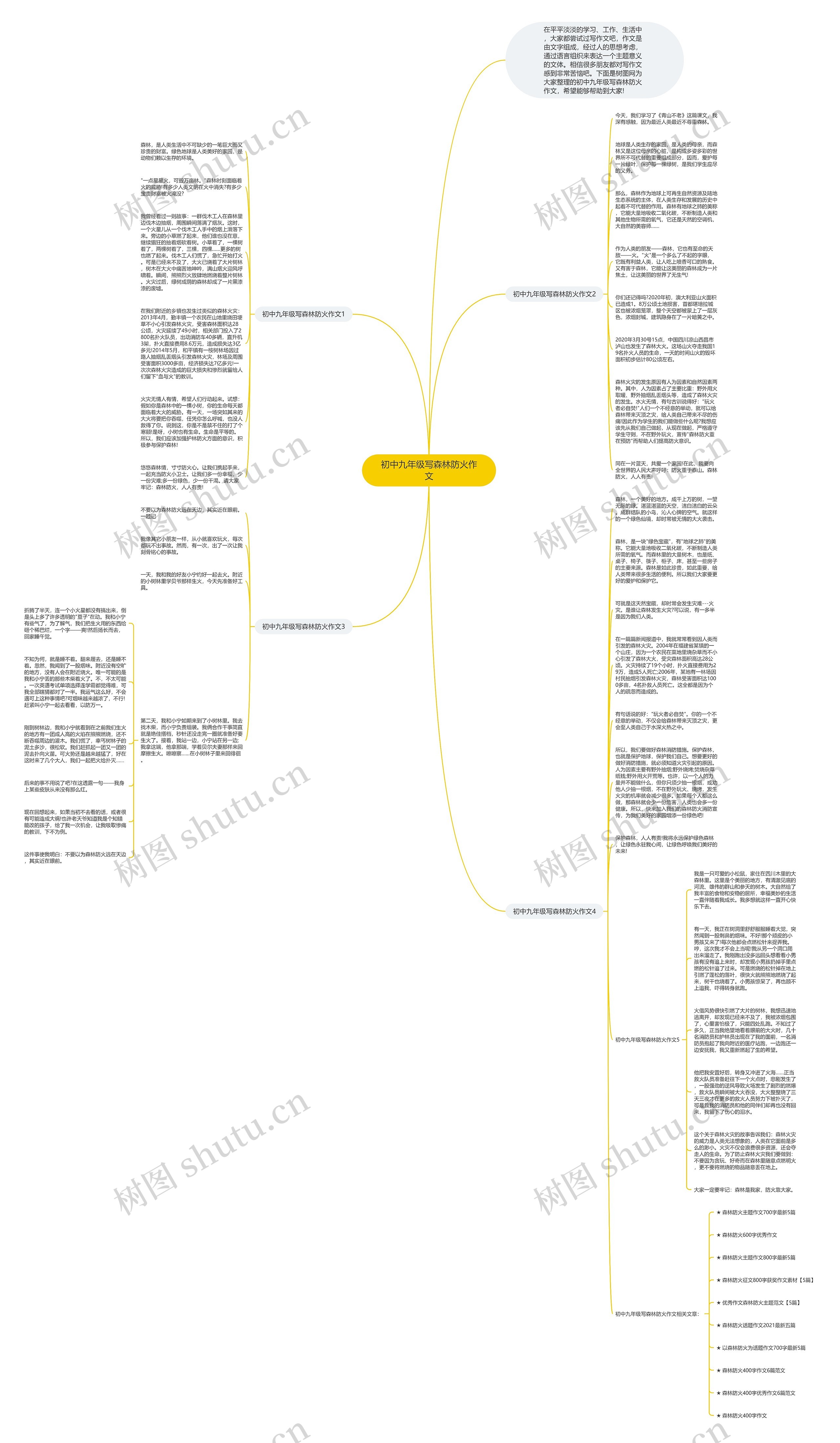 初中九年级写森林防火作文思维导图