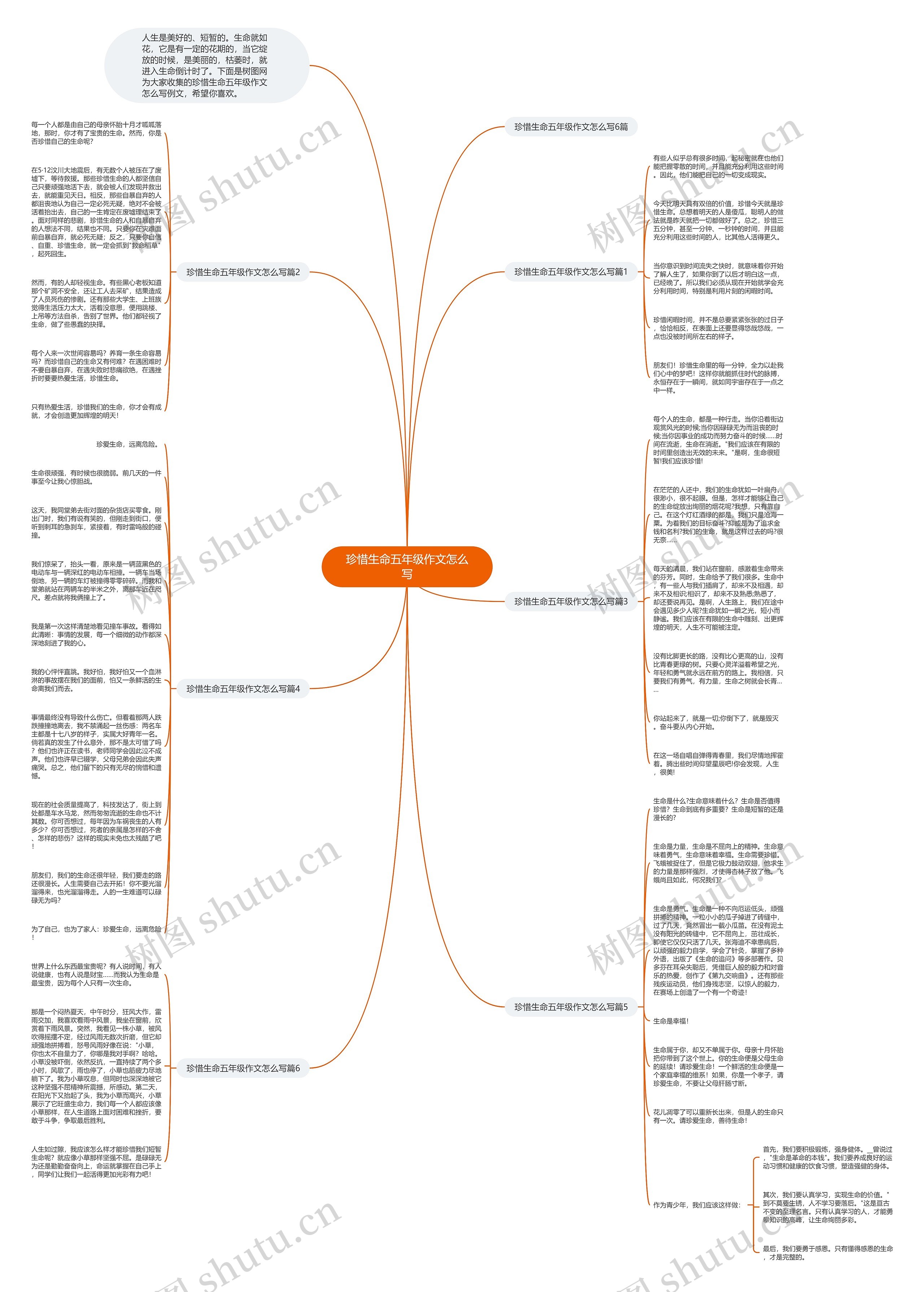 珍惜生命五年级作文怎么写思维导图