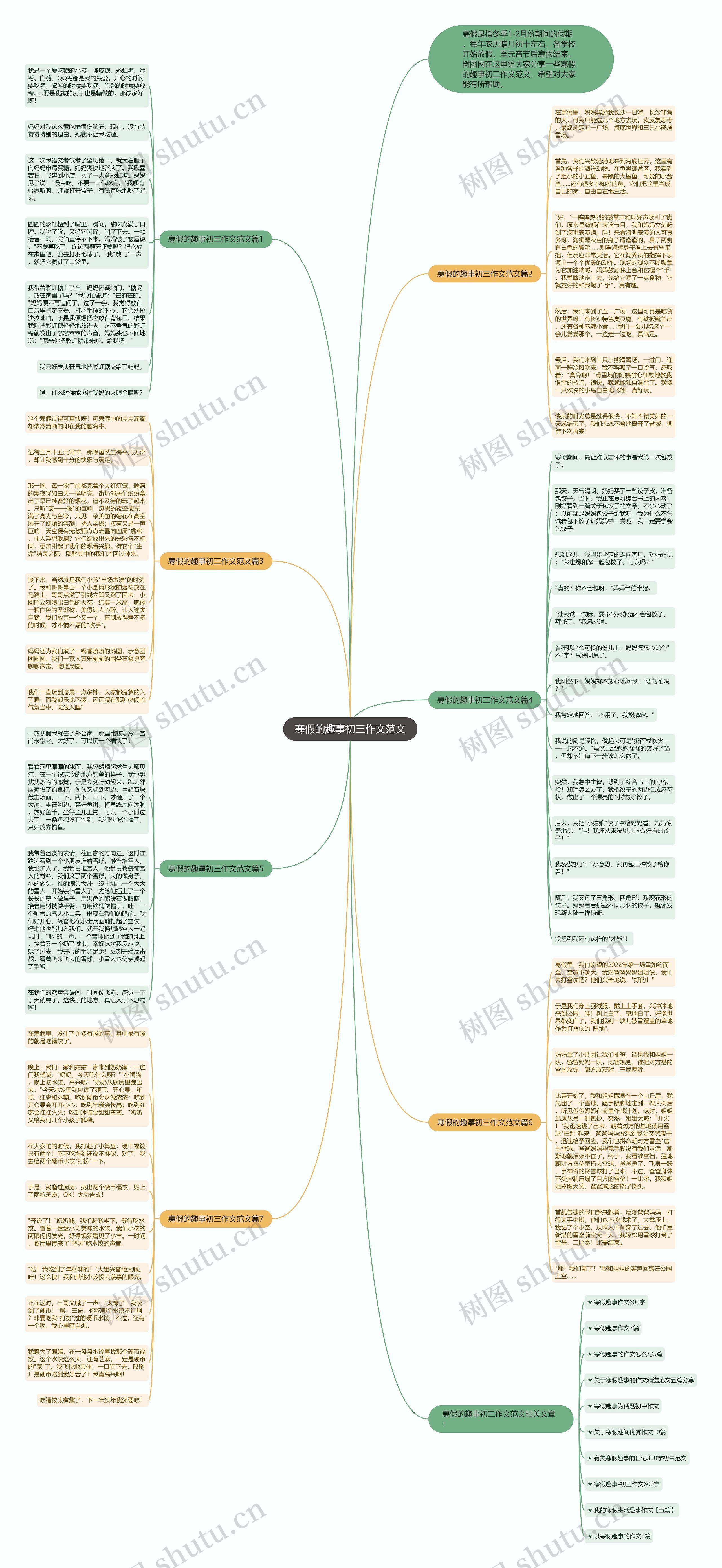 寒假的趣事初三作文范文思维导图