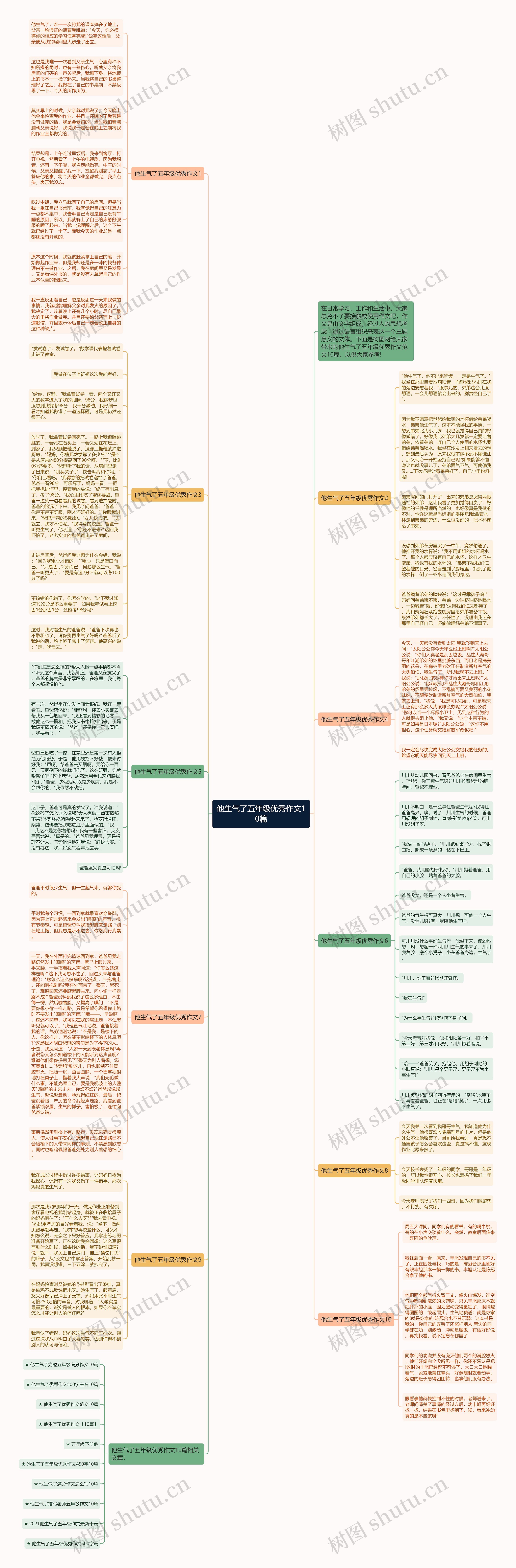 他生气了五年级优秀作文10篇思维导图