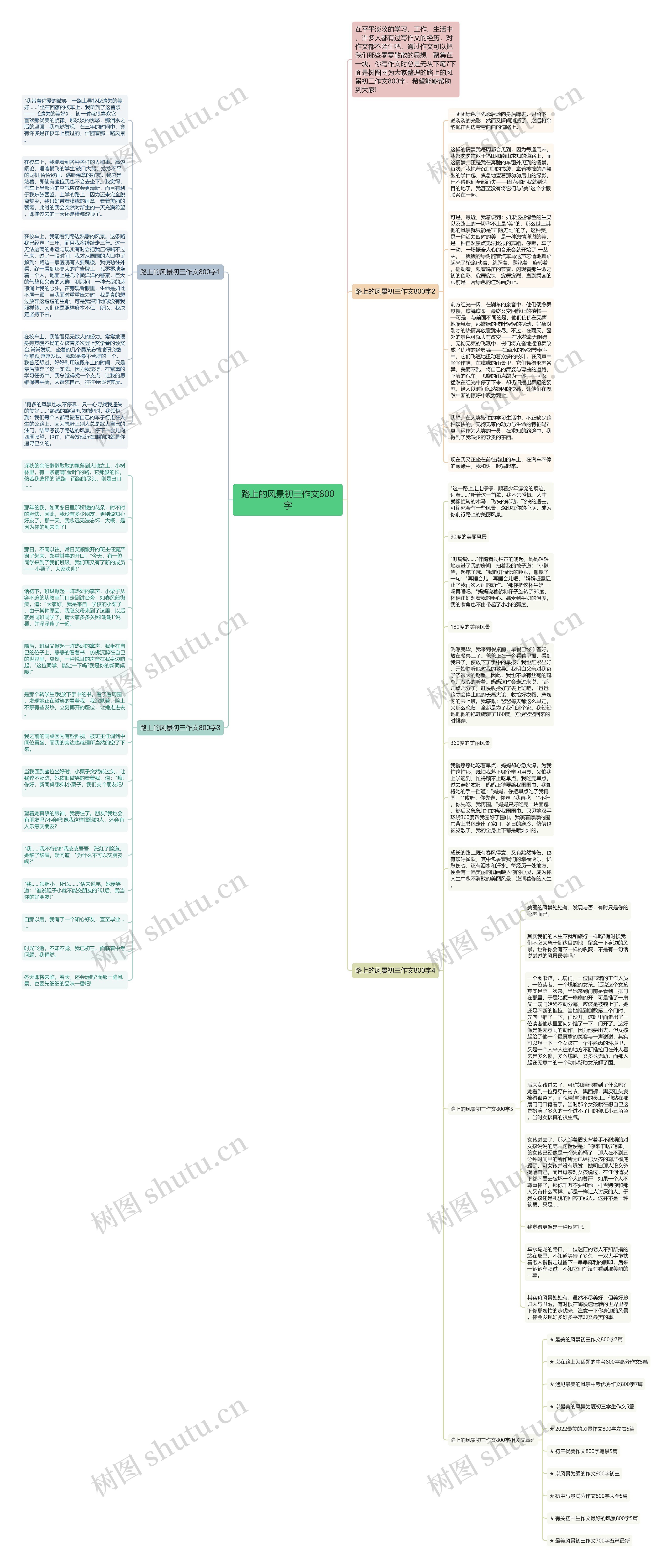 路上的风景初三作文800字思维导图