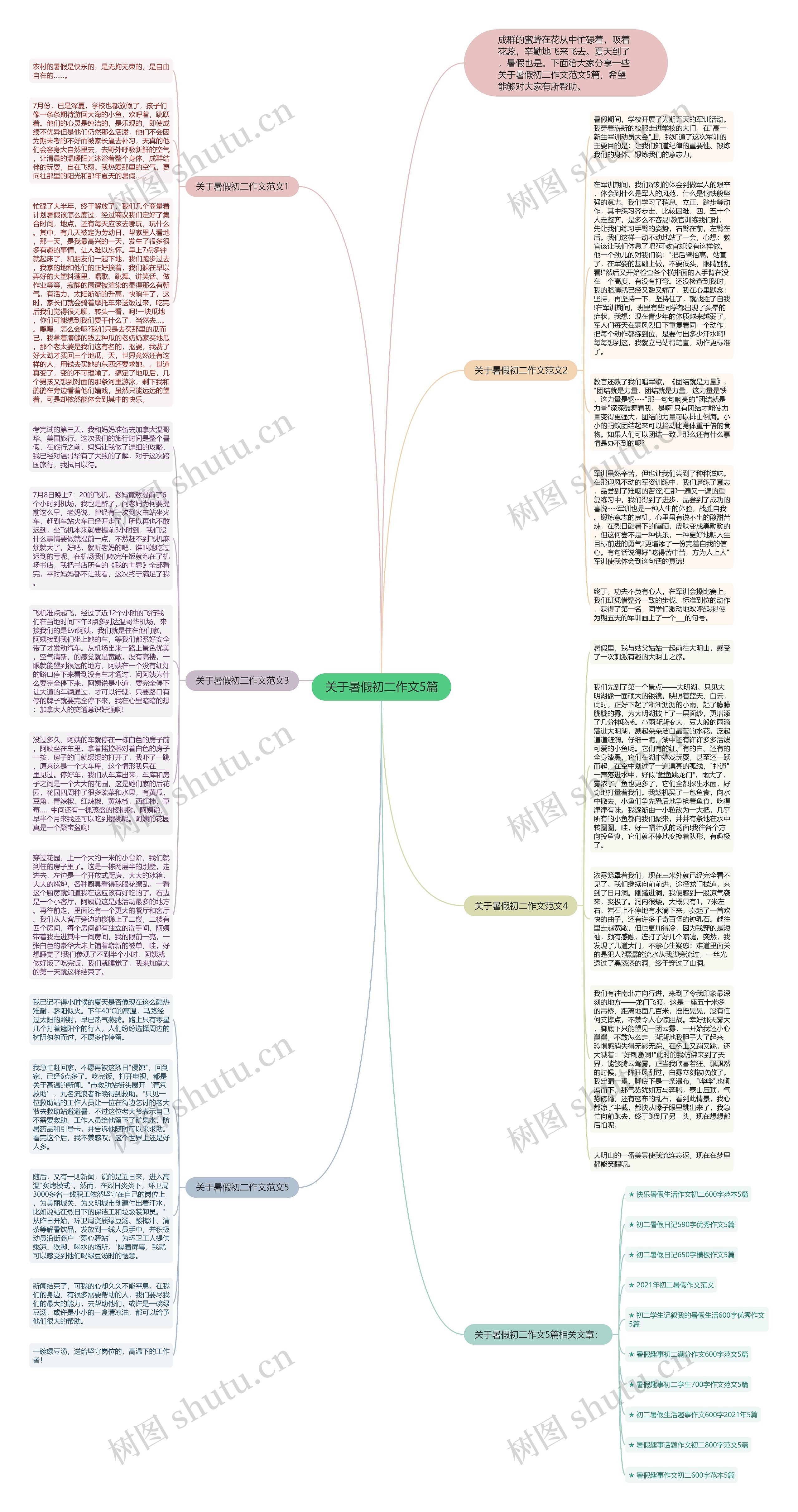 关于暑假初二作文5篇思维导图
