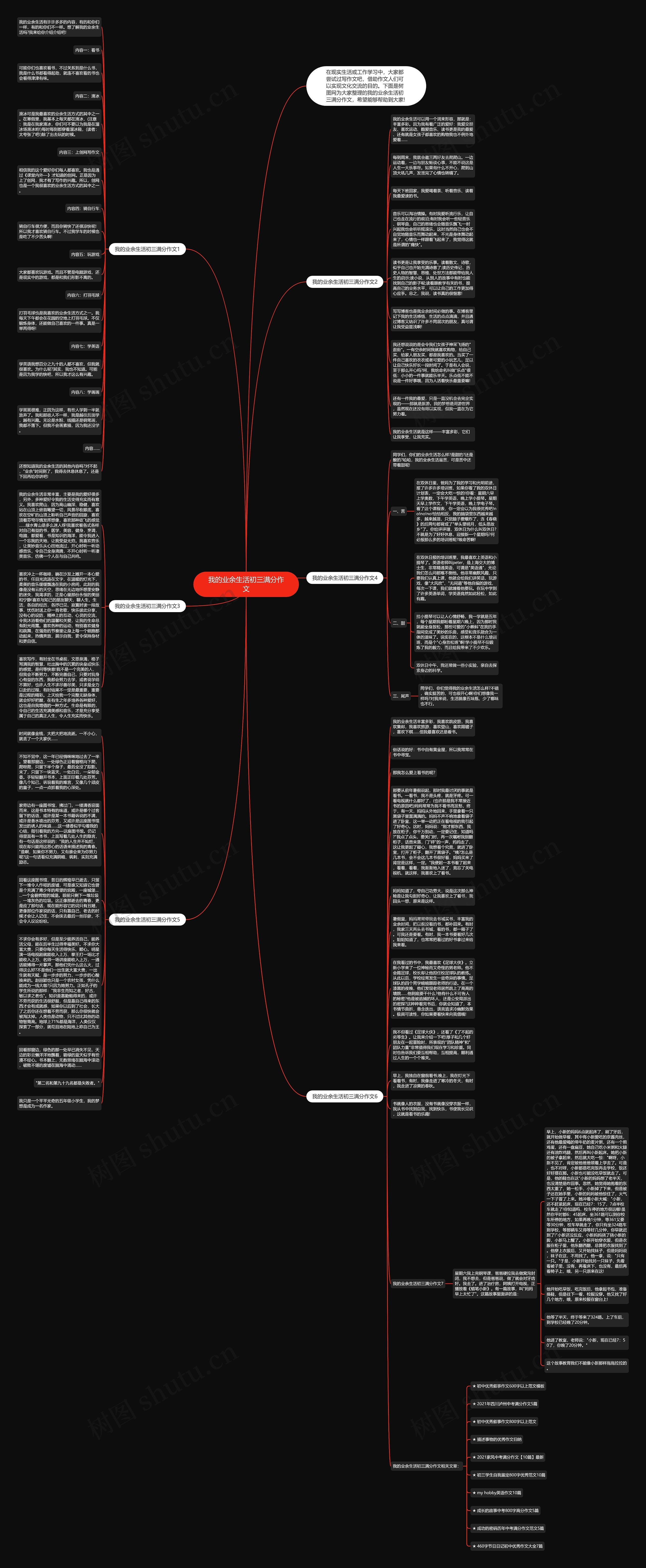 我的业余生活初三满分作文思维导图