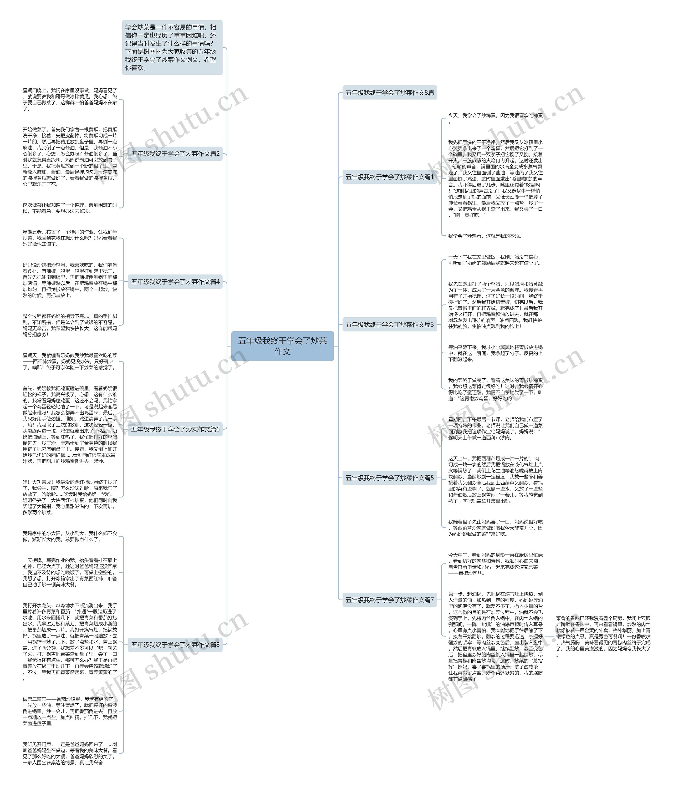 五年级我终于学会了炒菜作文