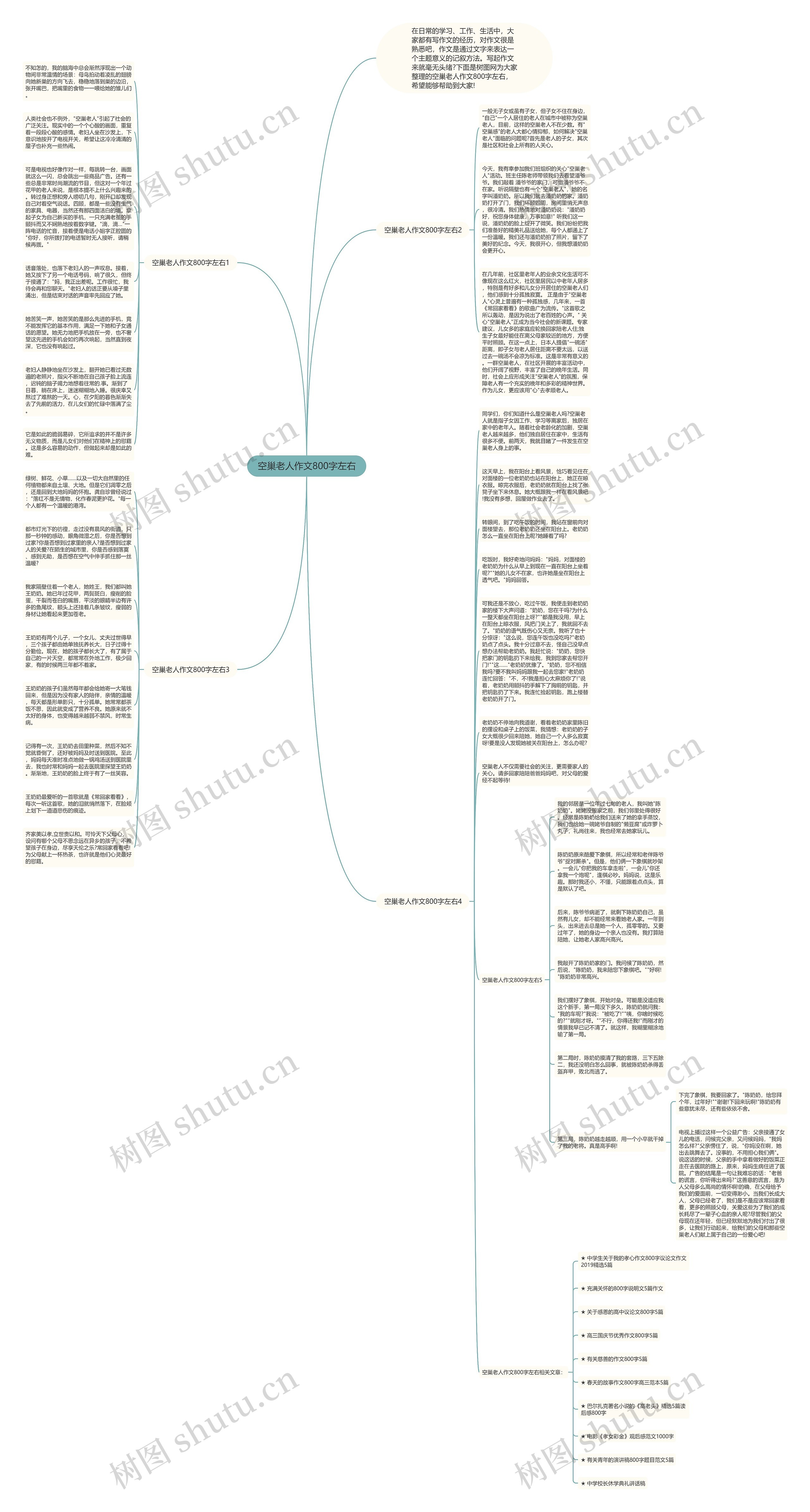 空巢老人作文800字左右思维导图