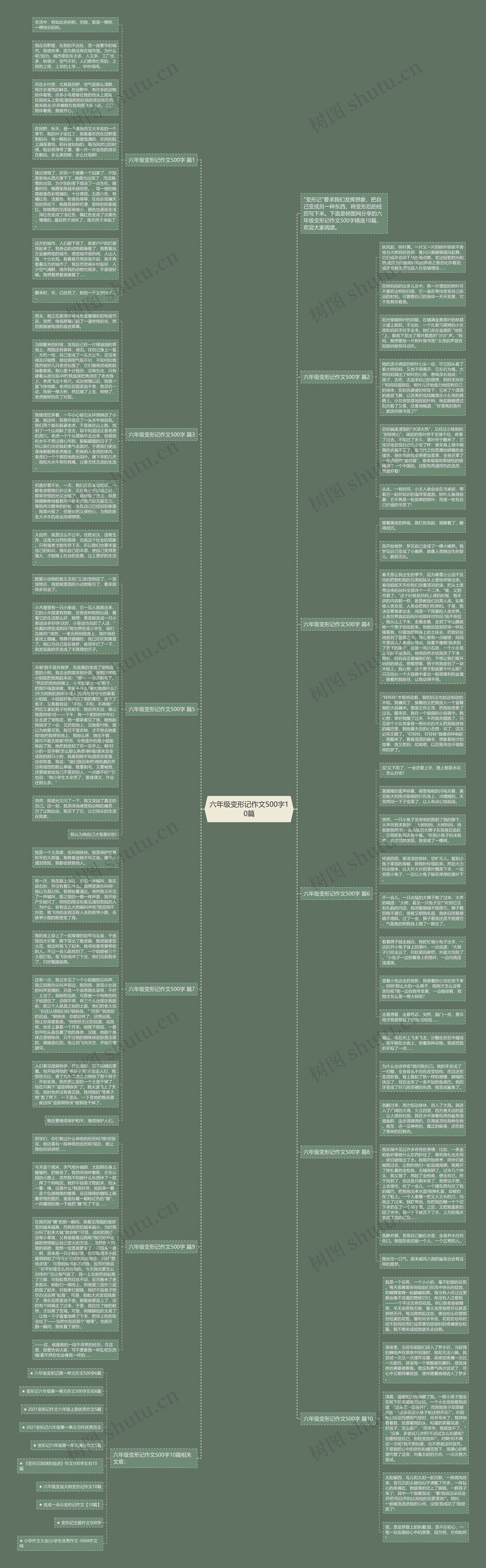 六年级变形记作文500字10篇思维导图