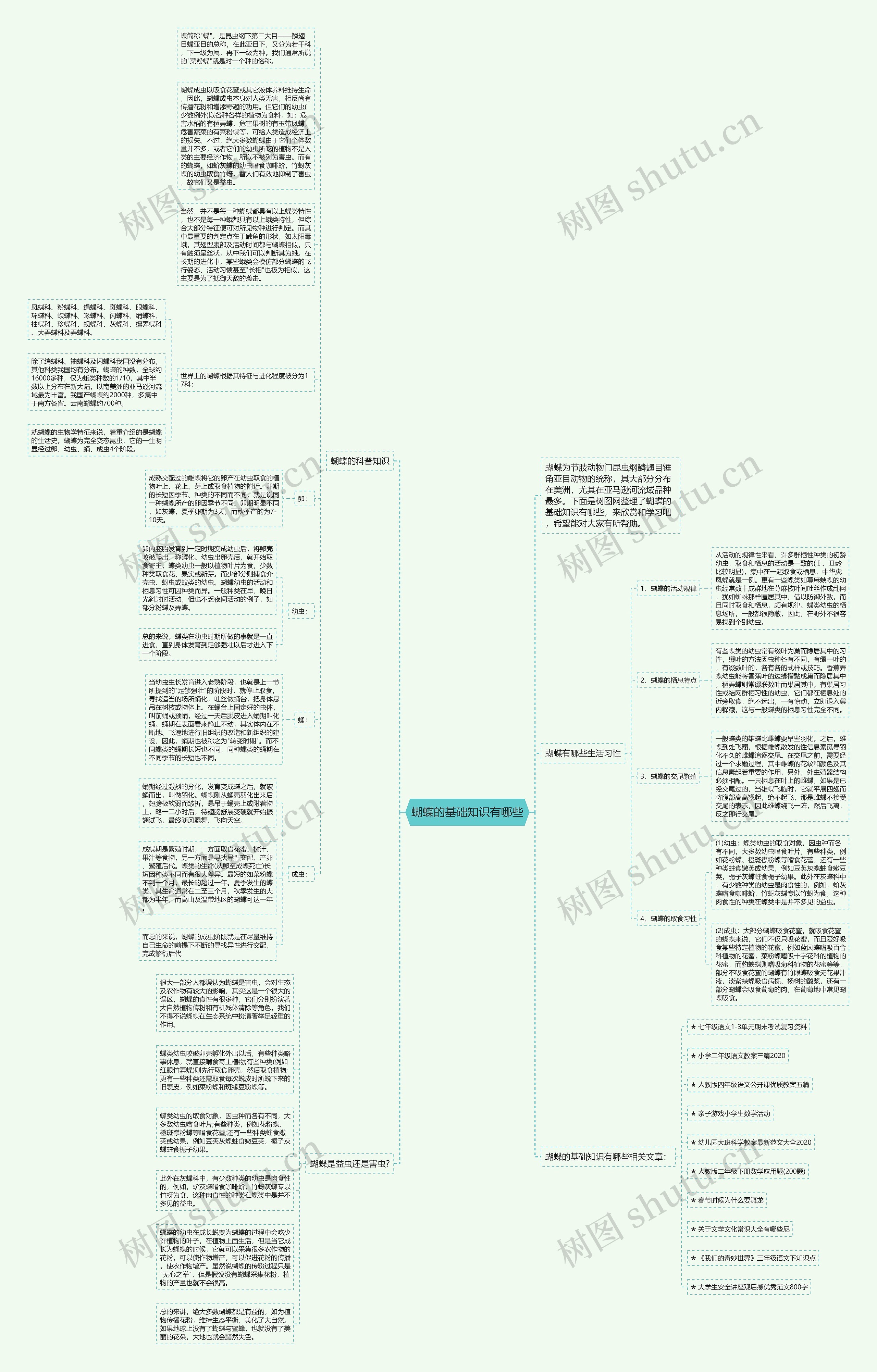 蝴蝶的基础知识有哪些思维导图