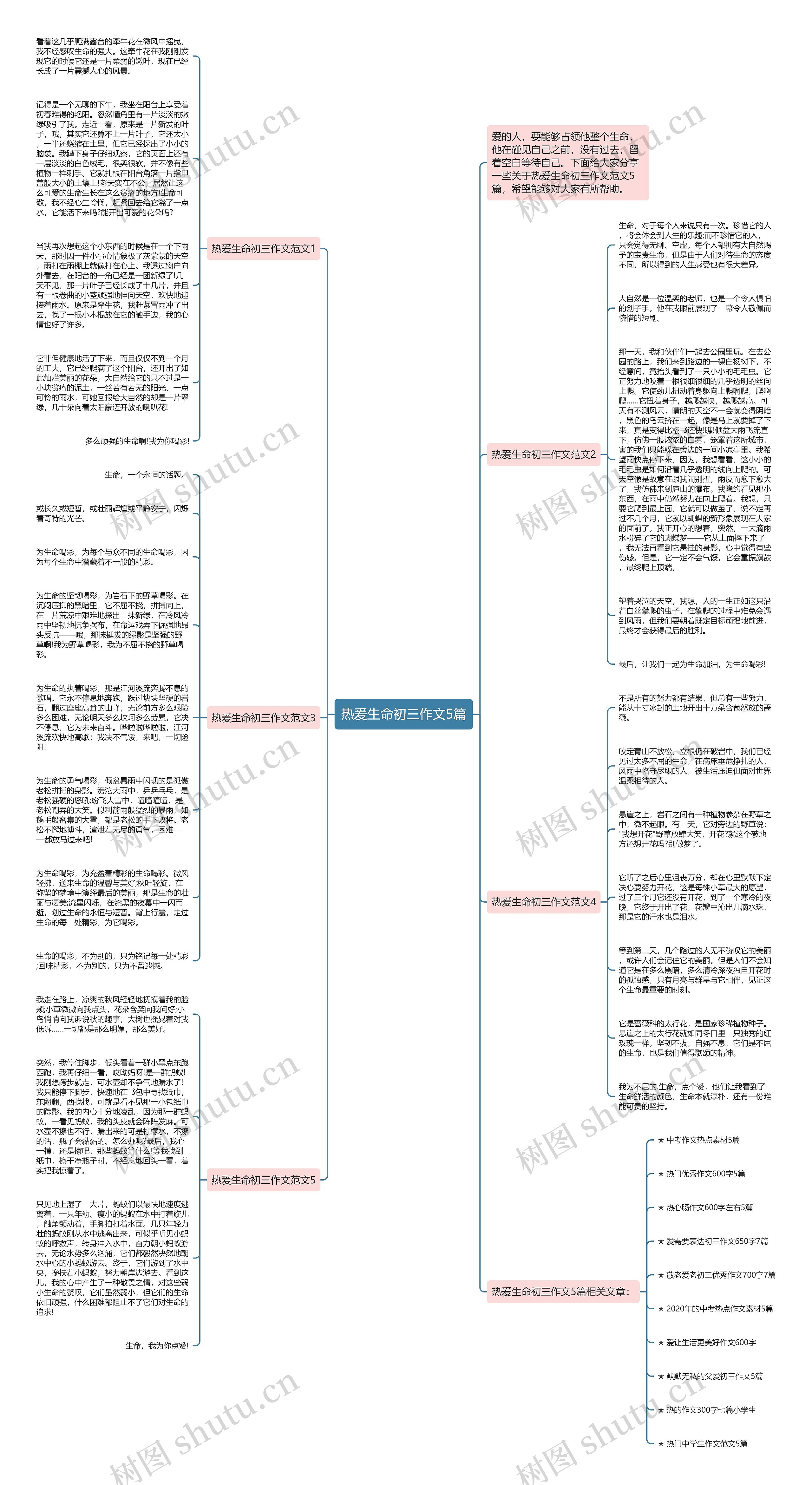 热爰生命初三作文5篇思维导图
