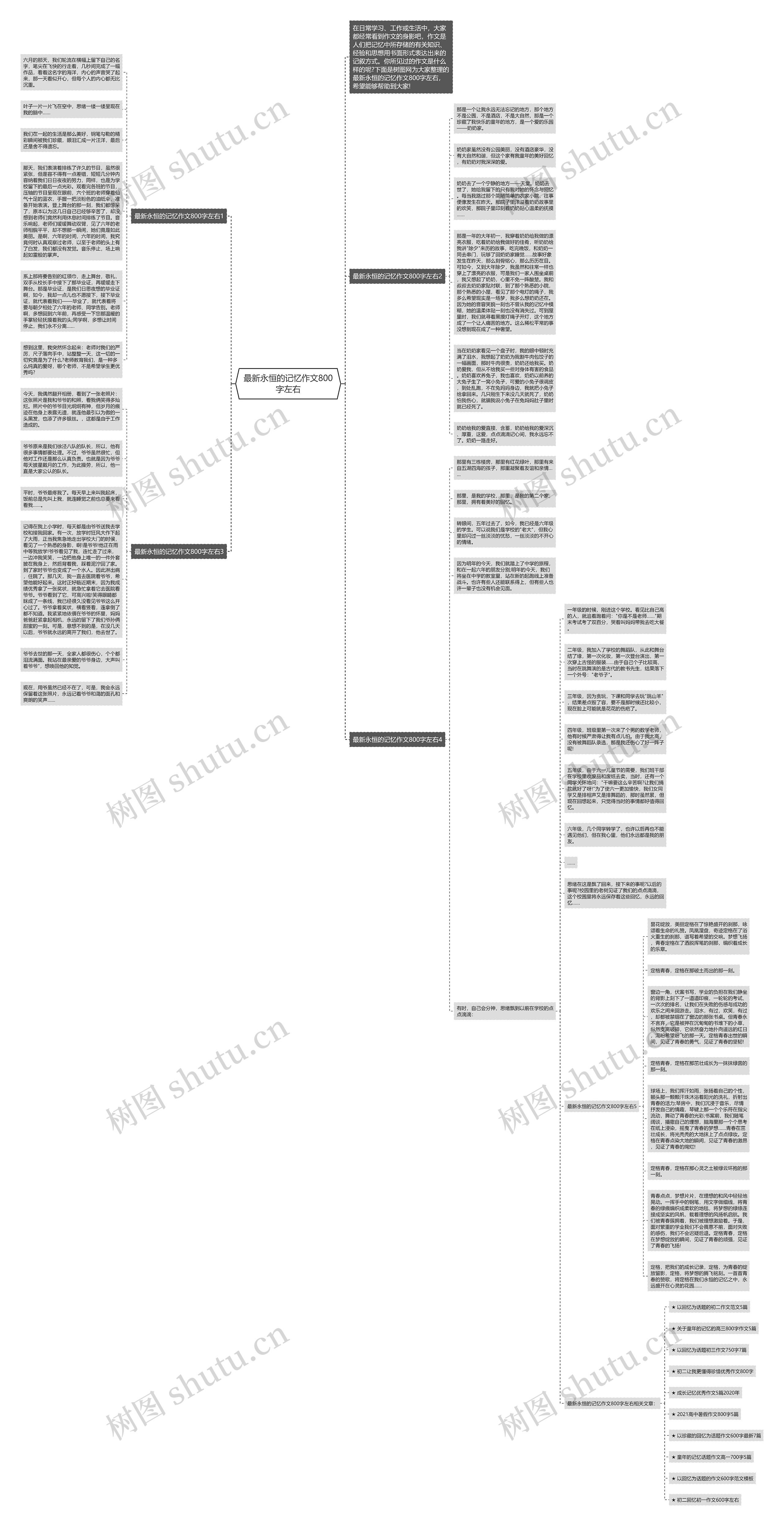 最新永恒的记忆作文800字左右思维导图