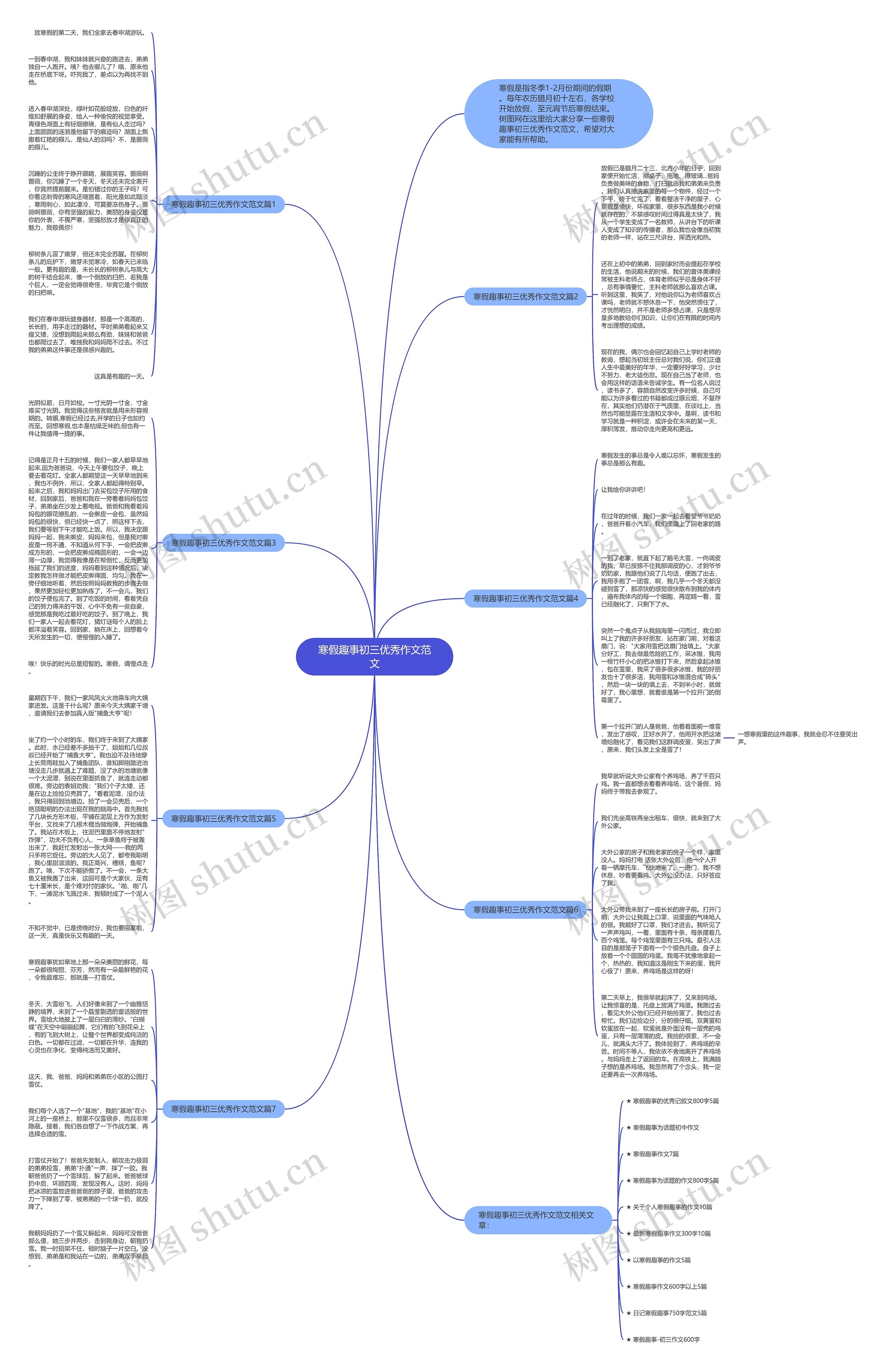 寒假趣事初三优秀作文范文思维导图