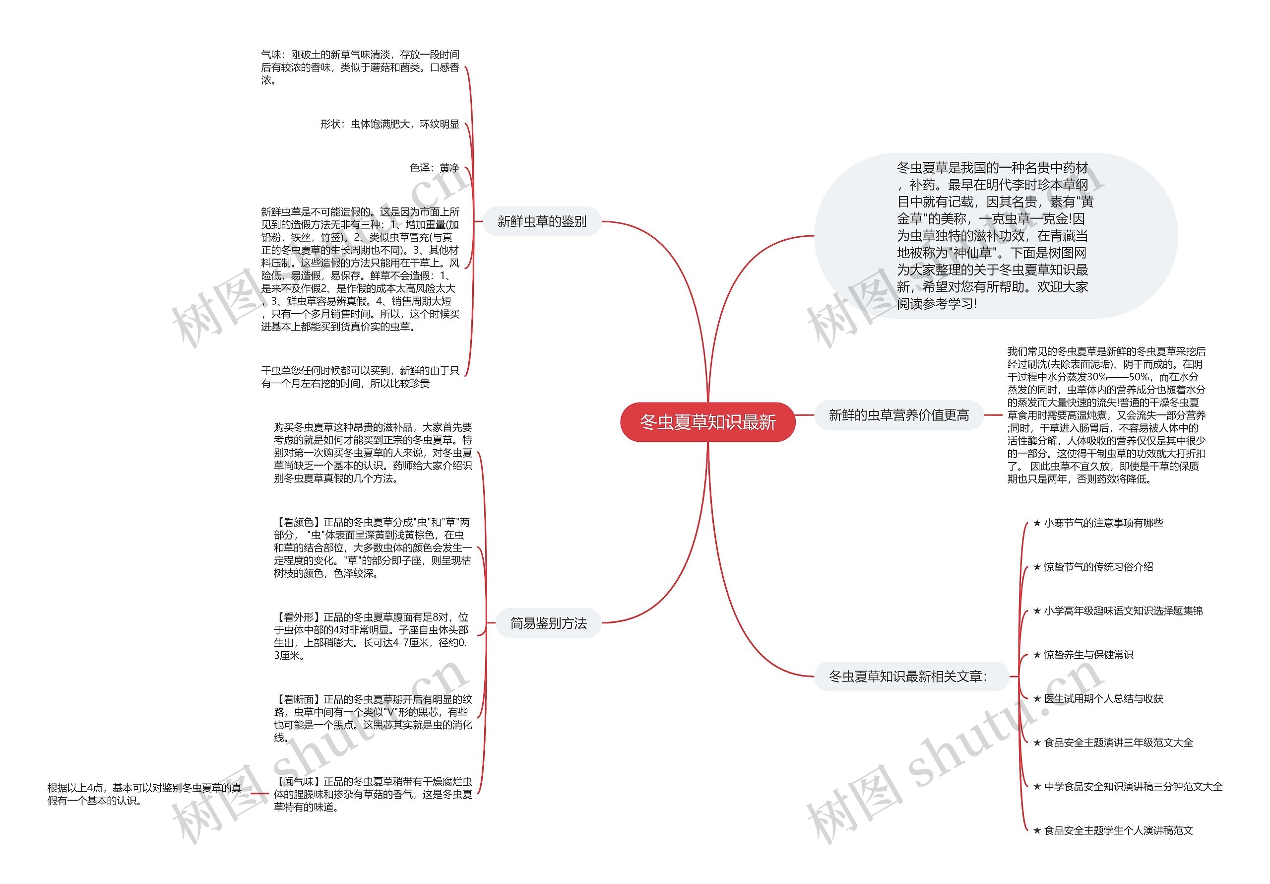 冬虫夏草知识最新思维导图