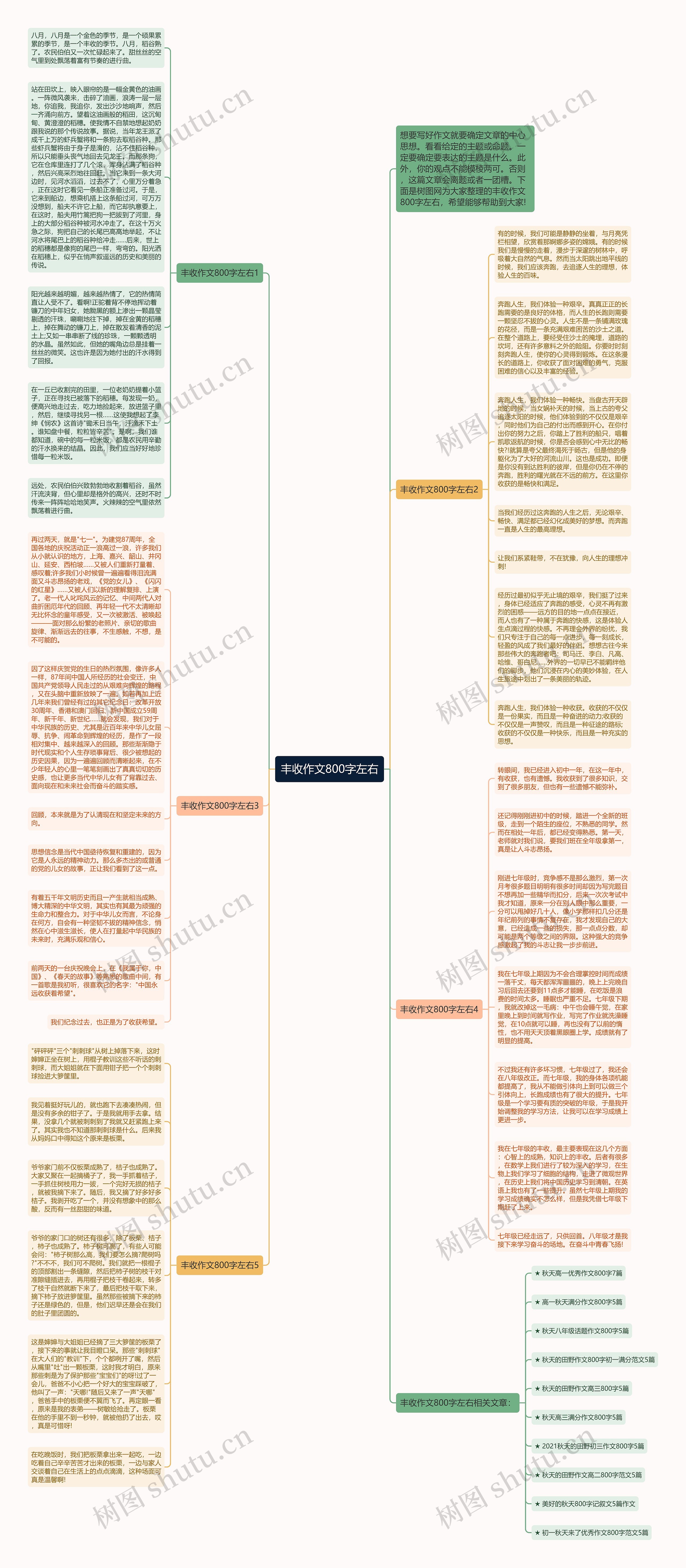 丰收作文800字左右思维导图