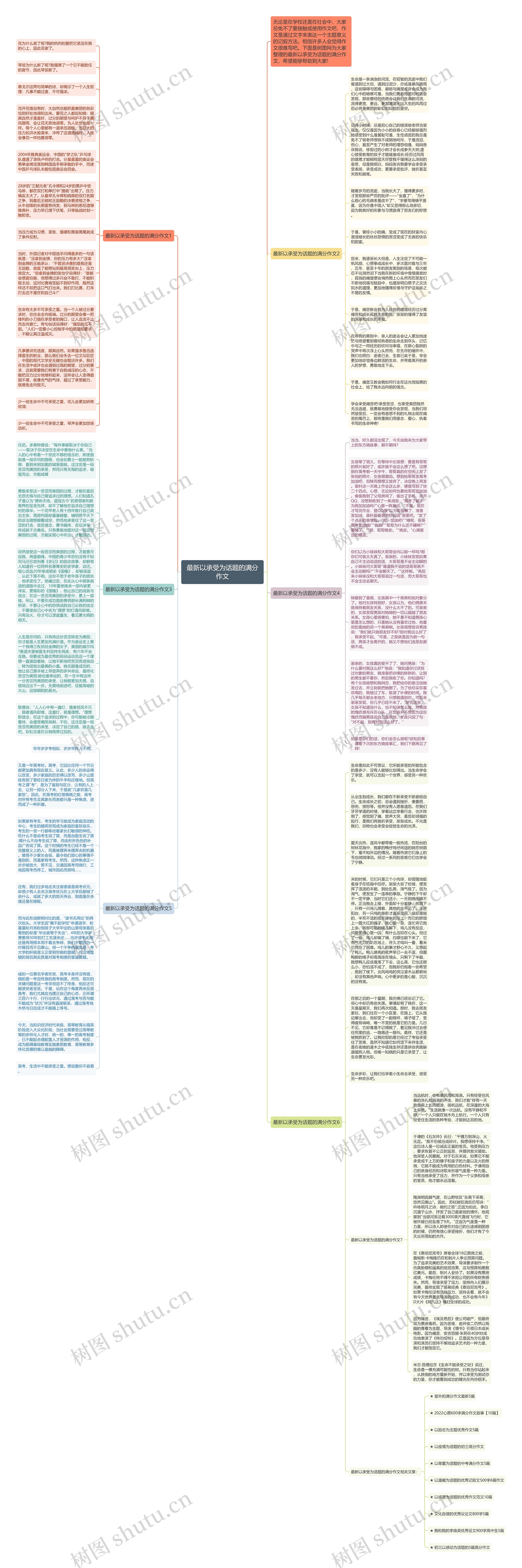 最新以承受为话题的满分作文思维导图