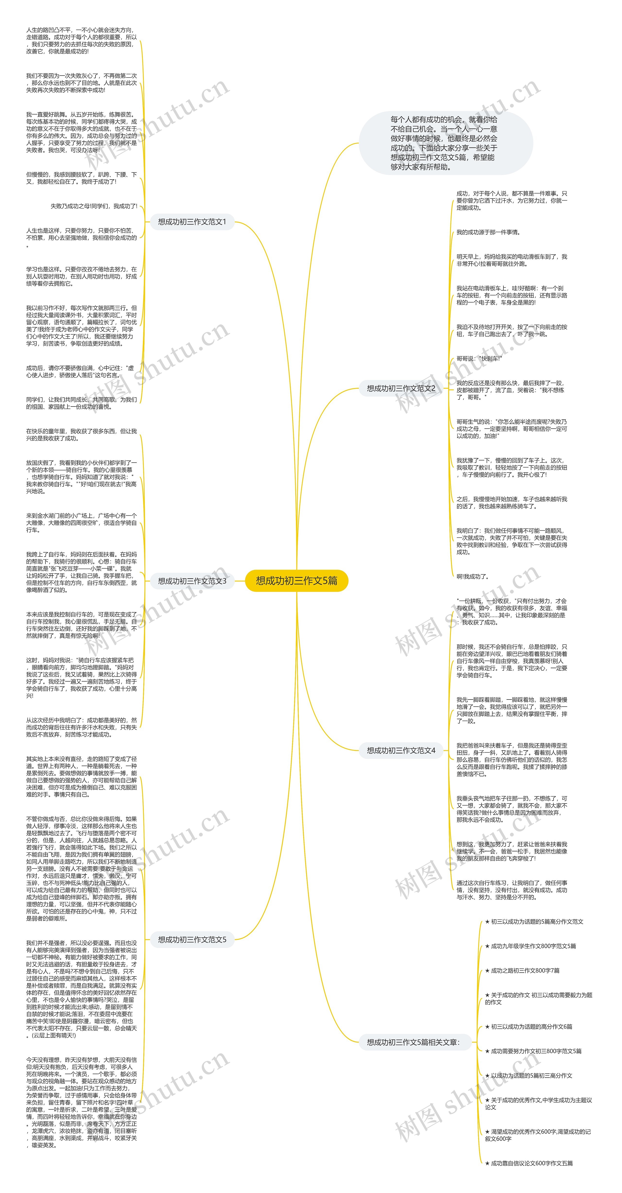 想成功初三作文5篇思维导图