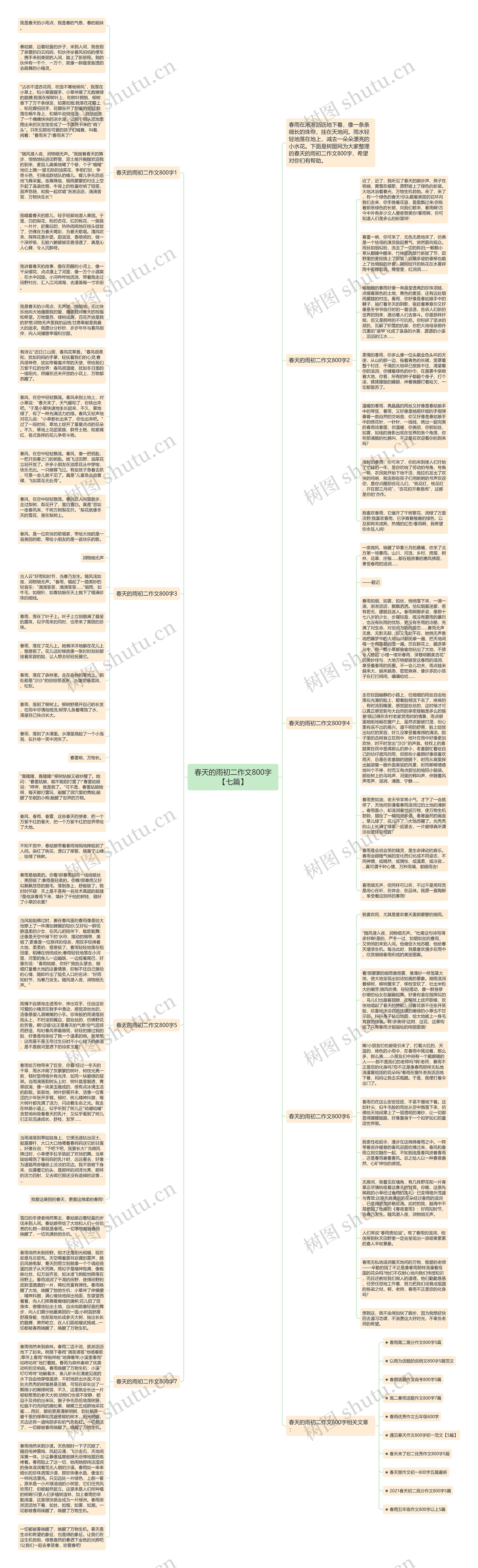 春天的雨初二作文800字【七篇】