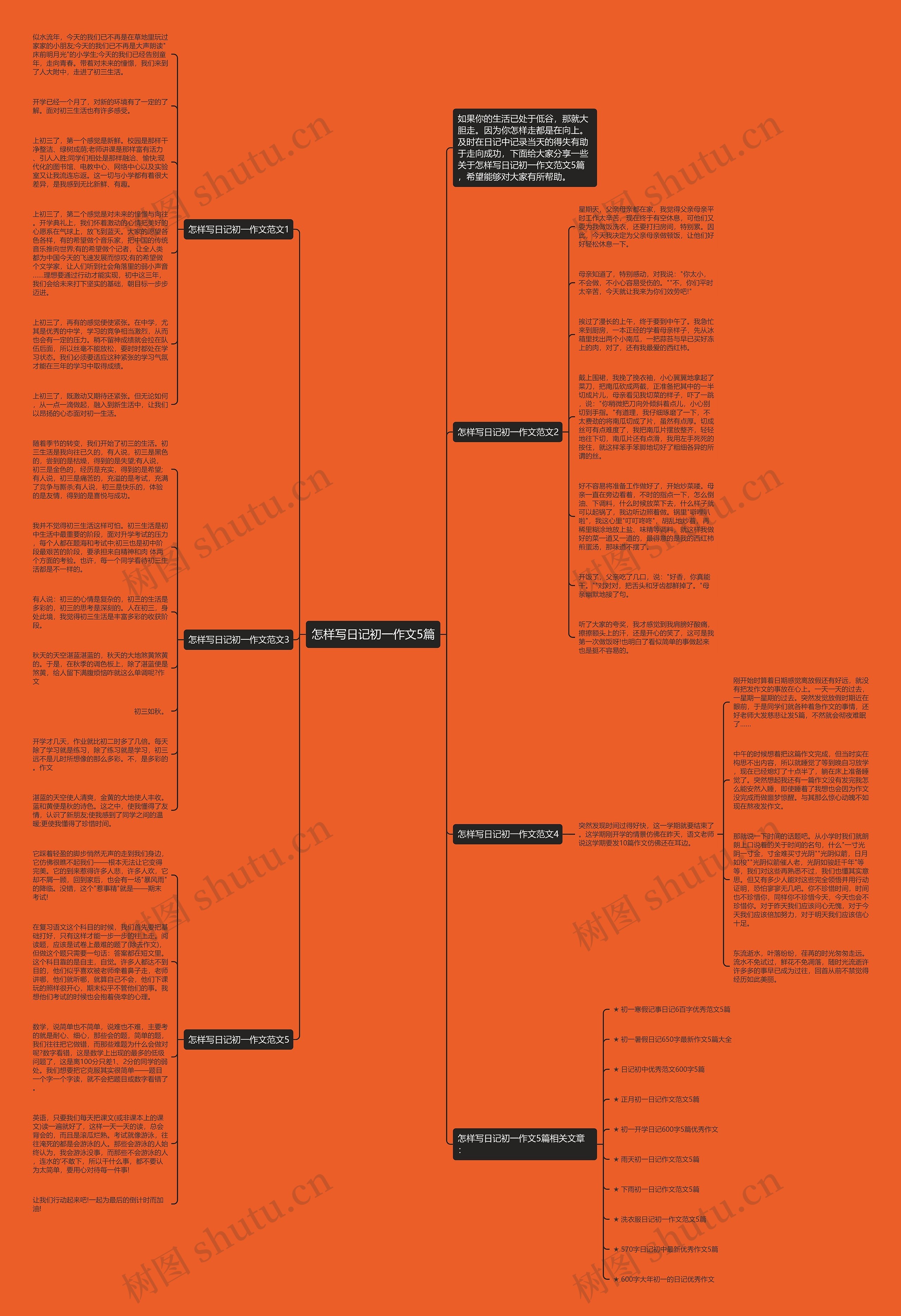 怎样写日记初一作文5篇思维导图