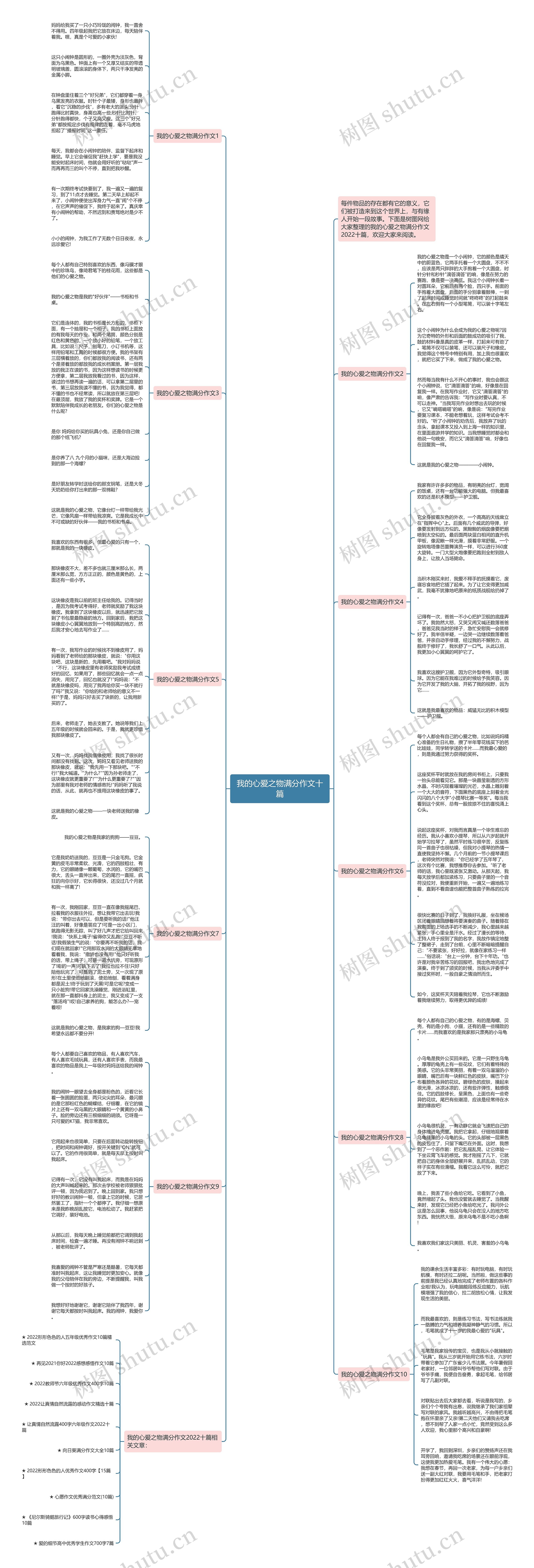 我的心爱之物满分作文十篇思维导图