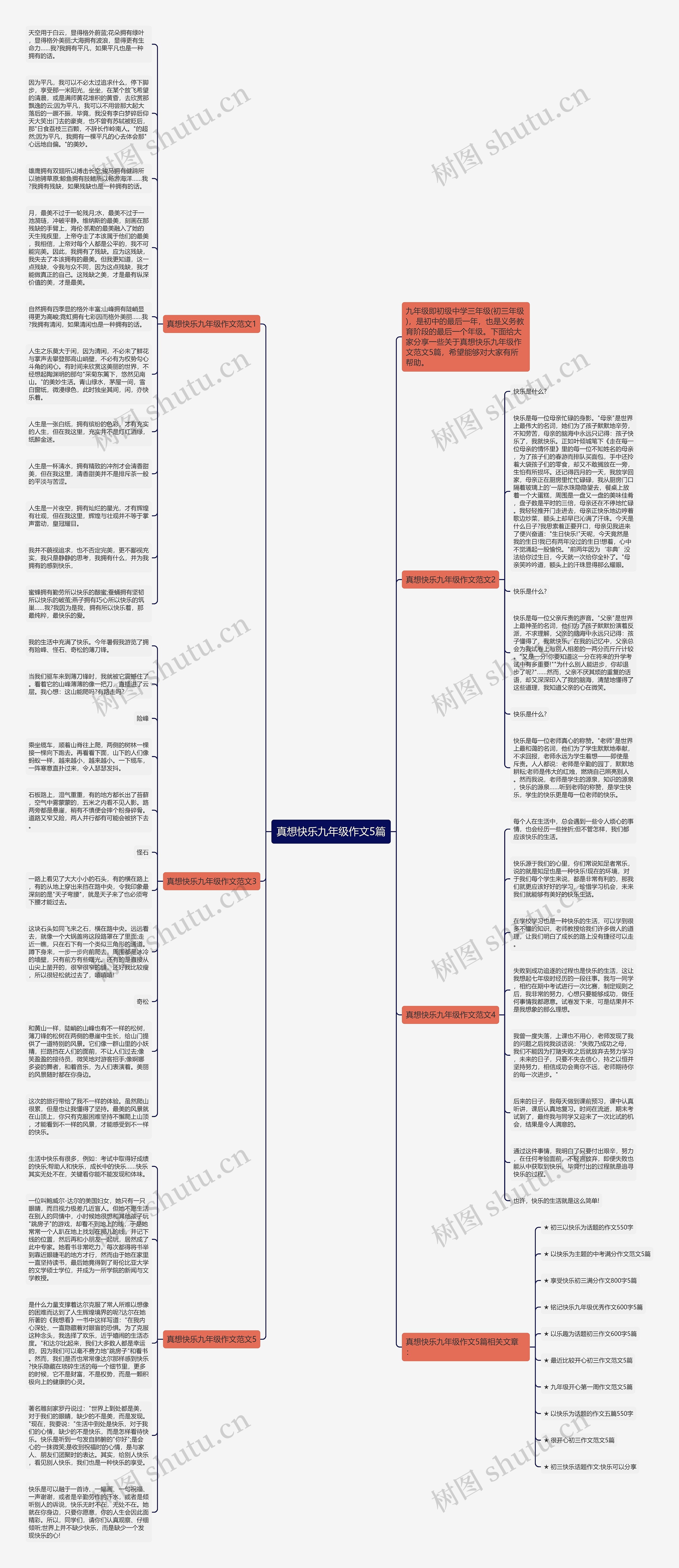 真想快乐九年级作文5篇思维导图
