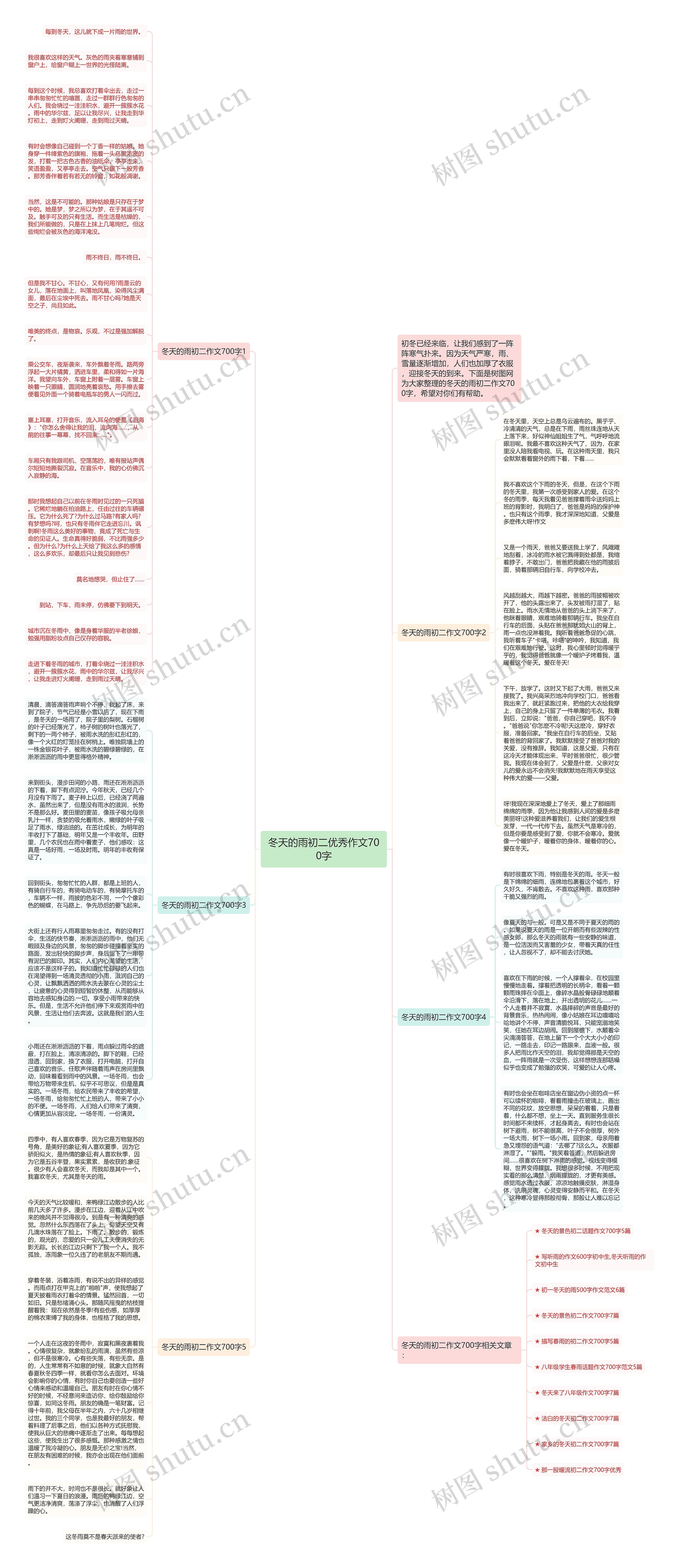 冬天的雨初二优秀作文700字思维导图