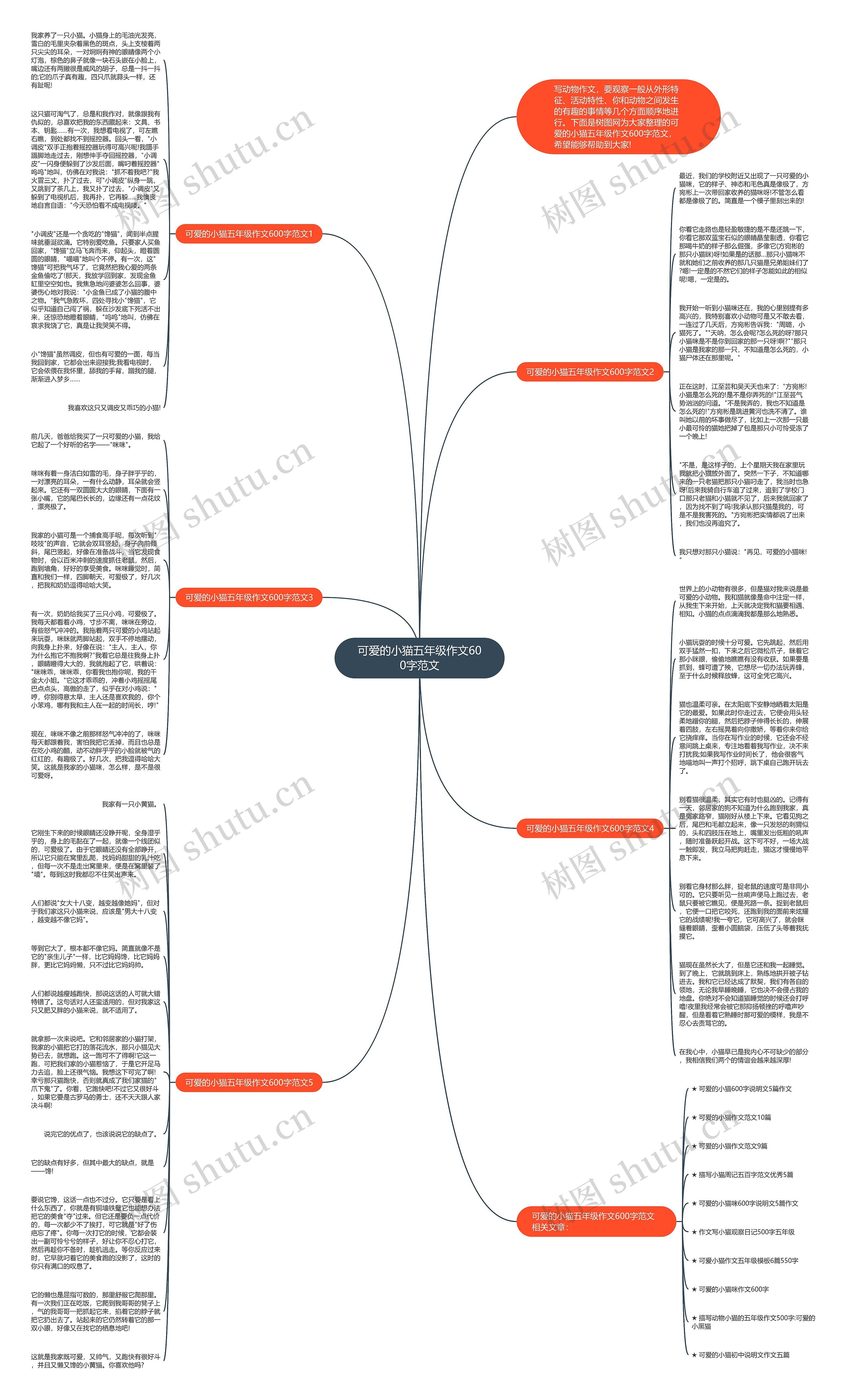 可爱的小猫五年级作文600字范文思维导图