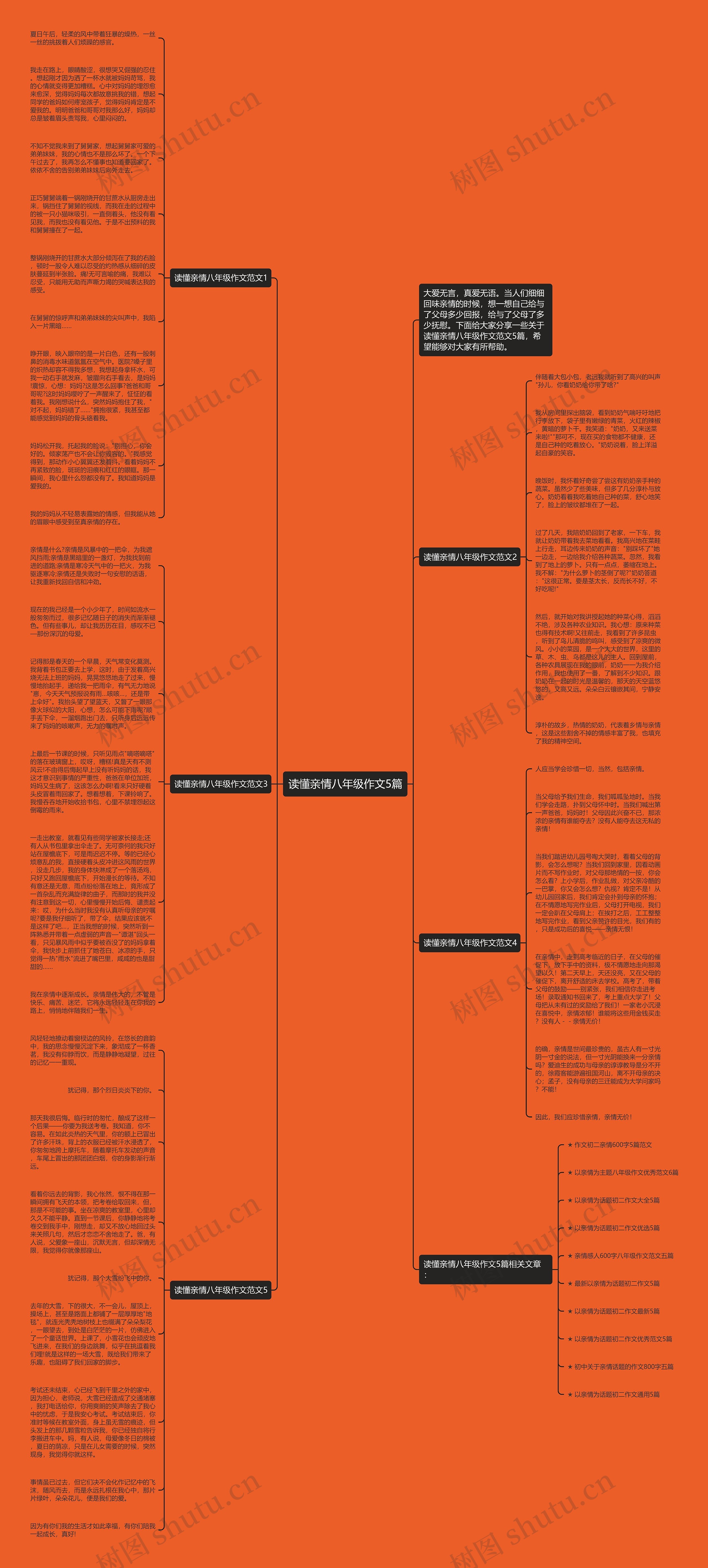 读懂亲情八年级作文5篇思维导图