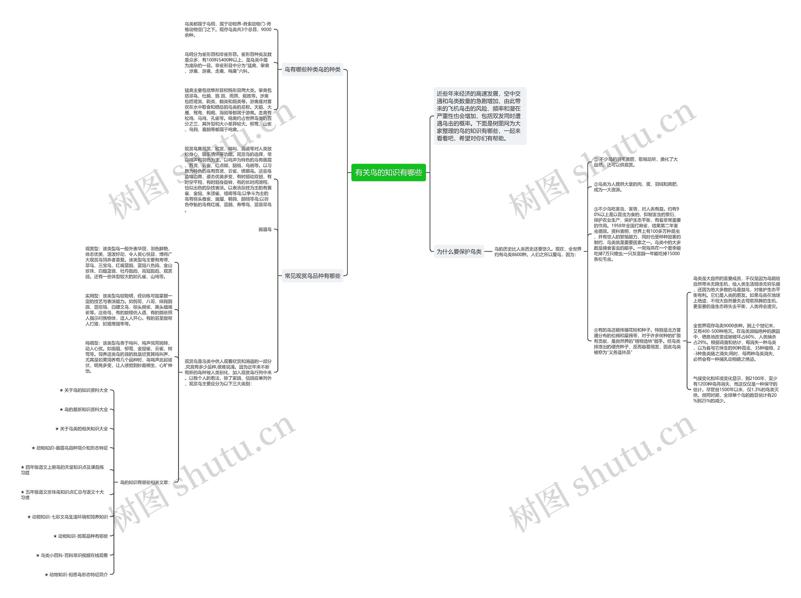 有关鸟的知识有哪些思维导图高清图 有关鸟的知识有哪些思维导图