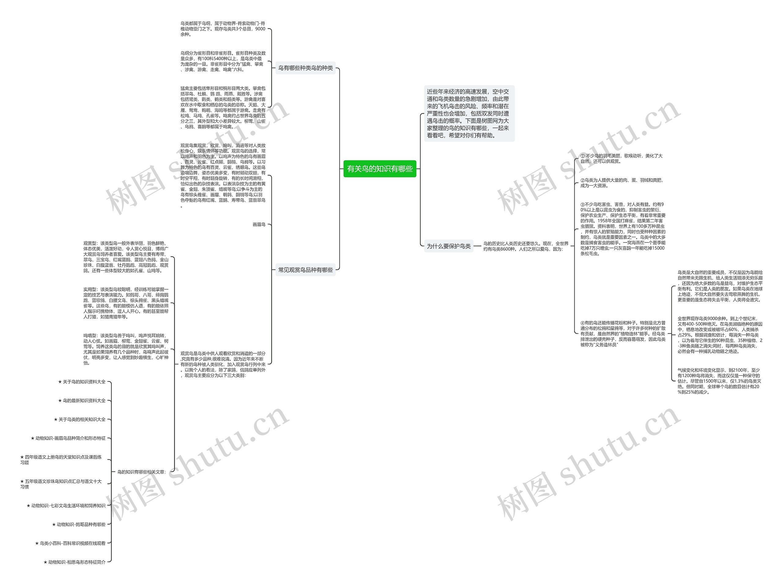 有关鸟的知识有哪些思维导图