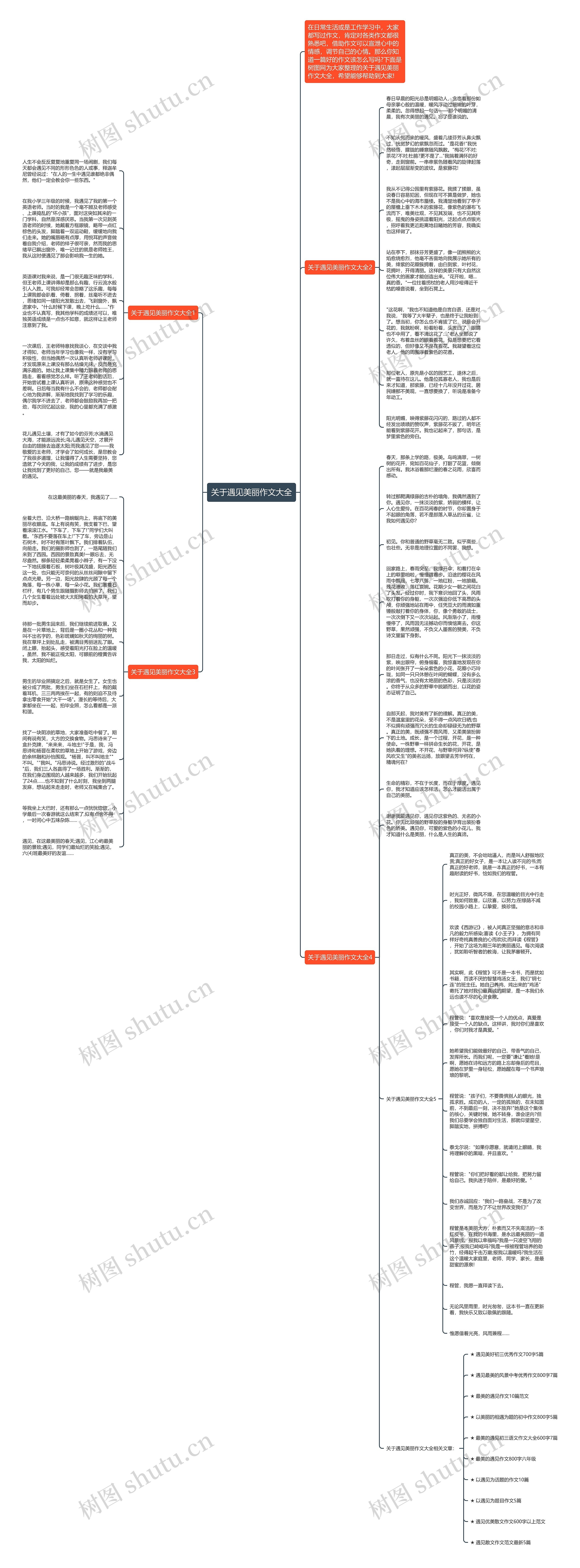 关于遇见美丽作文大全思维导图