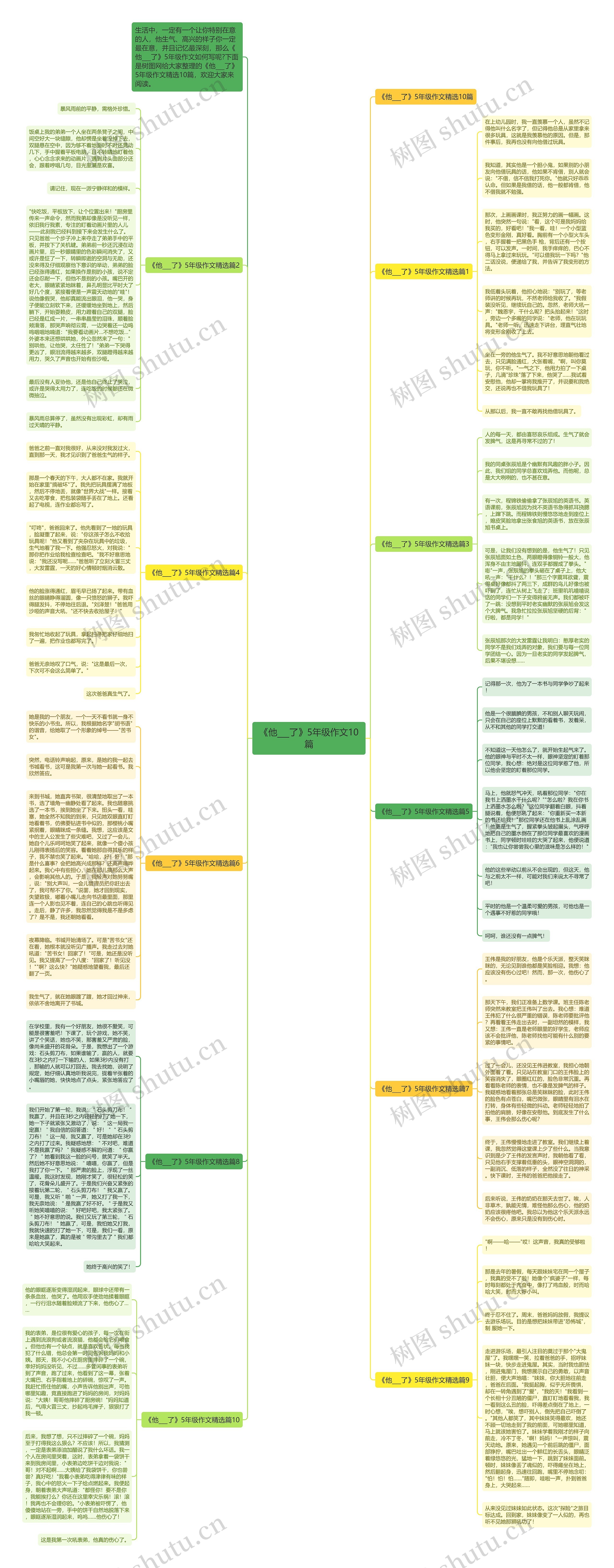《他___了》5年级作文10篇思维导图