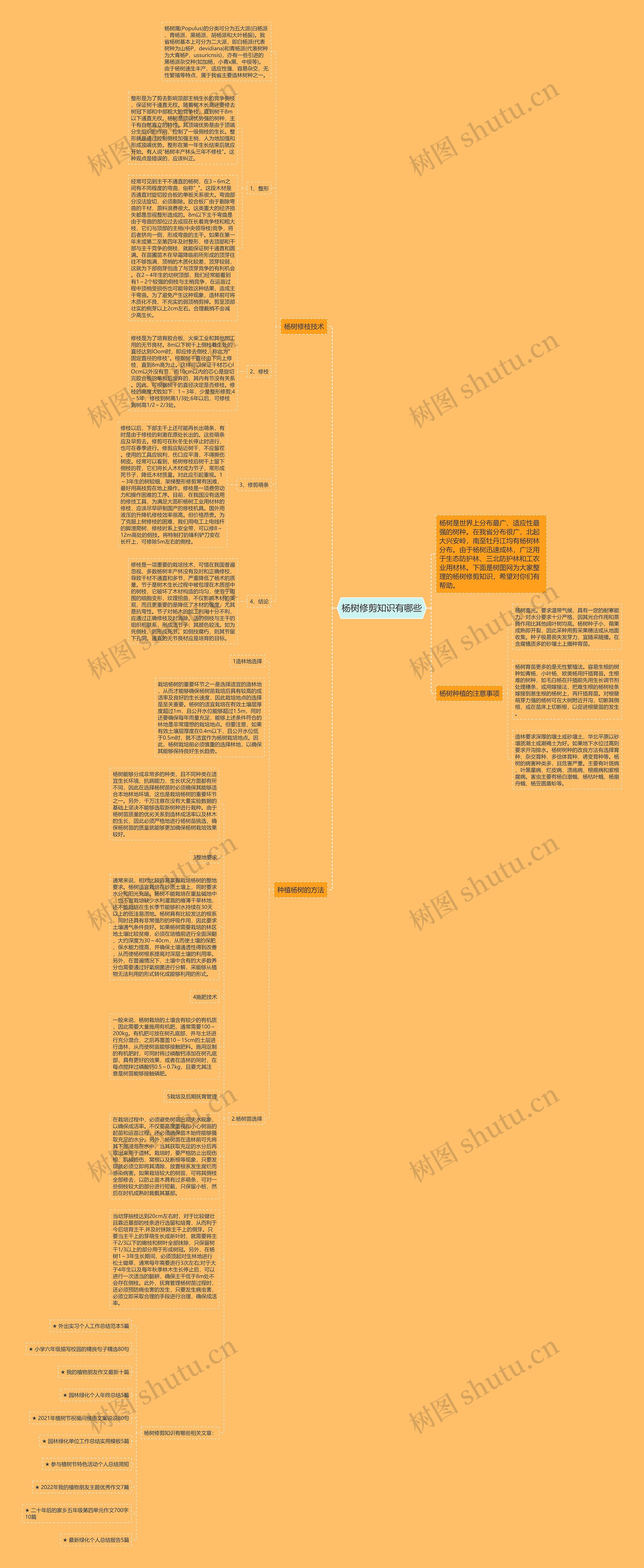 杨树修剪知识有哪些思维导图