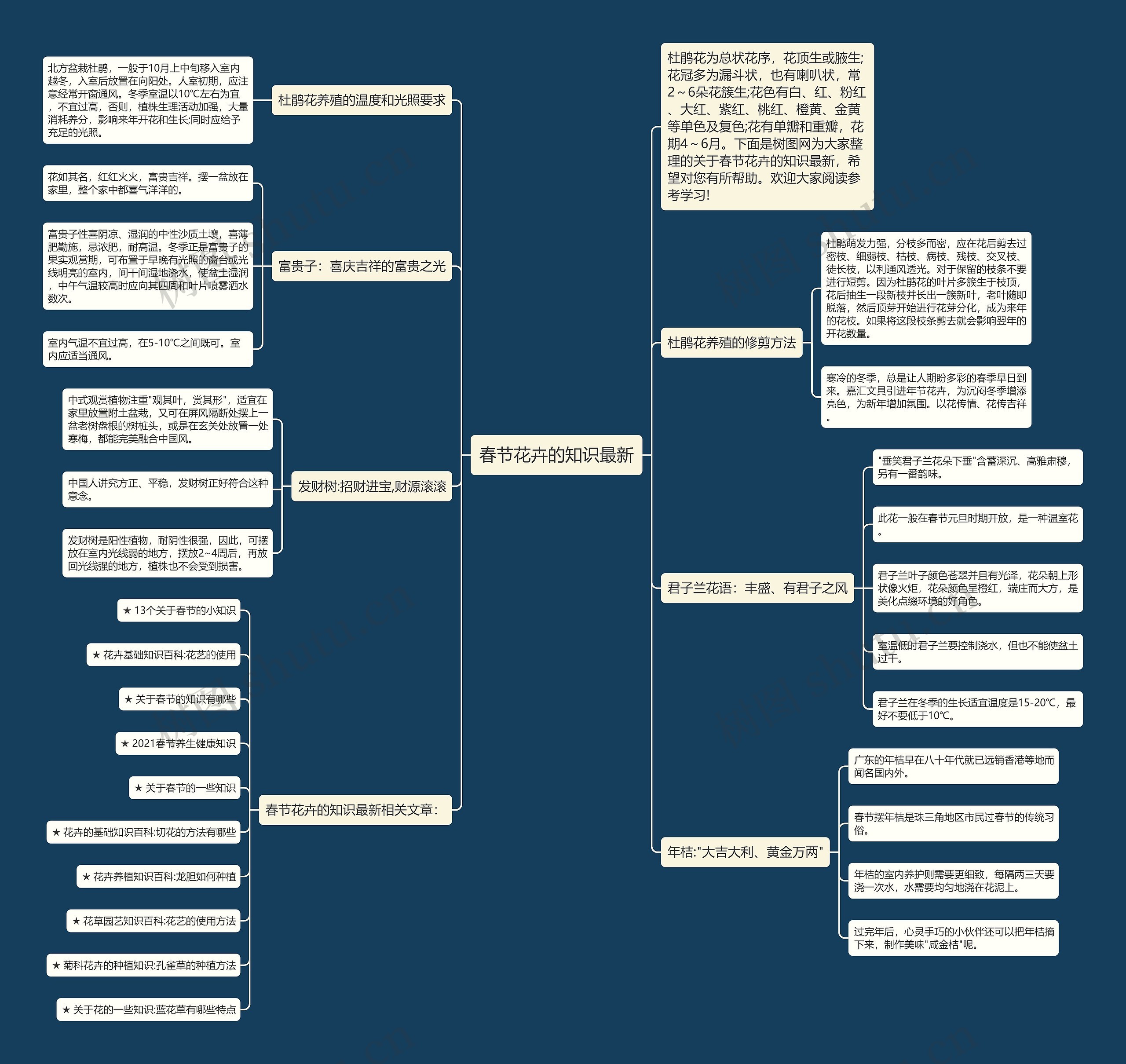 春节花卉的知识最新思维导图
