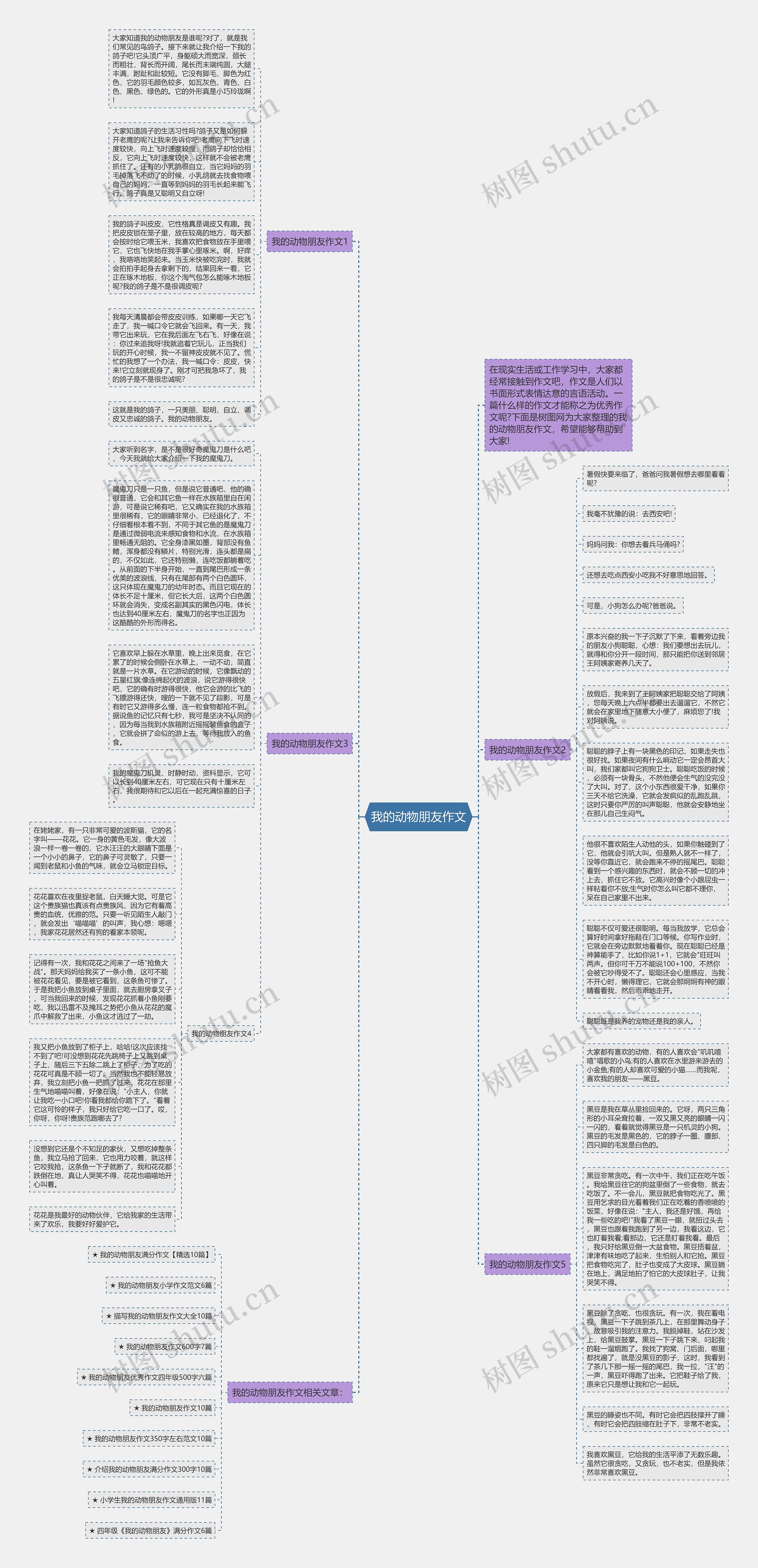 我的动物朋友作文思维导图高清图 我的动物朋友作文思维导图